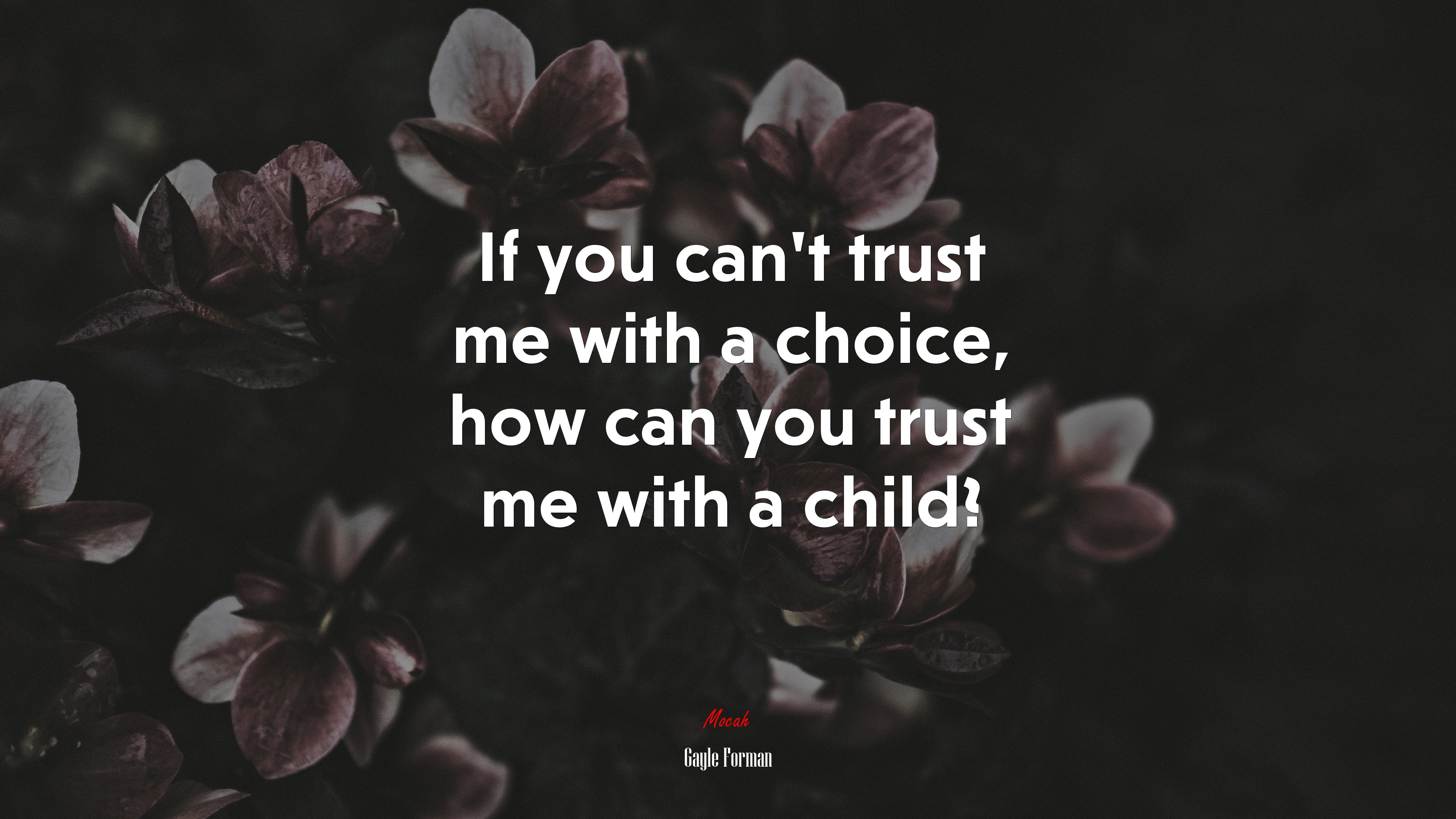 If you can’t trust me with a choice, how can you trust me with a child? | Gayle Forman quote HD Wallpaper