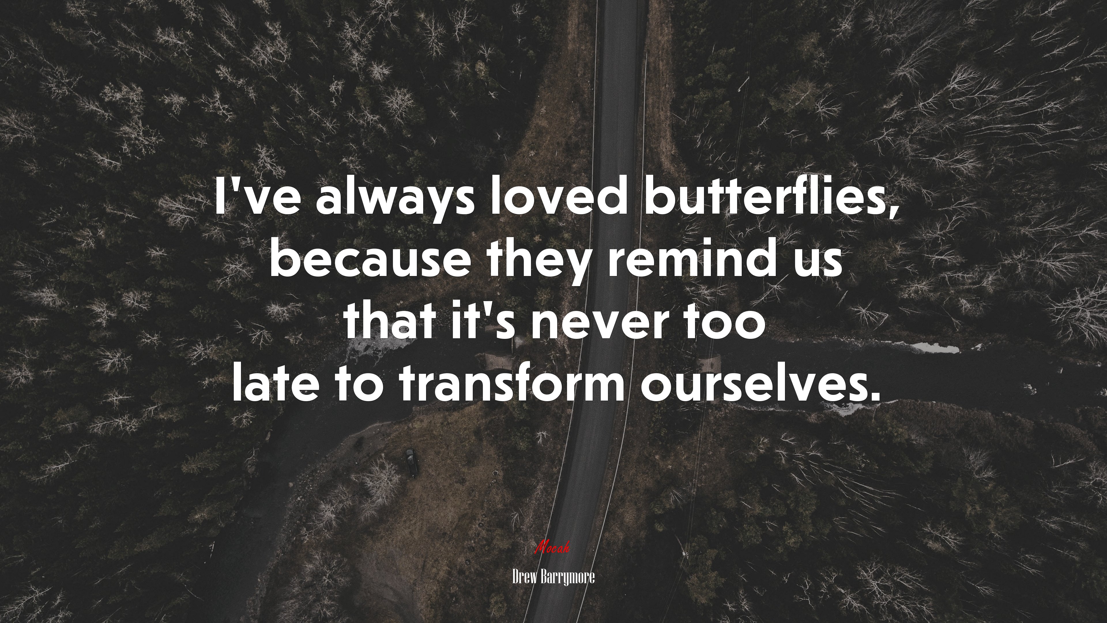 I’ve always loved butterflies, because they remind us that it’s never too late to transform ourselves. | Drew Barrymore quote HD Wallpaper