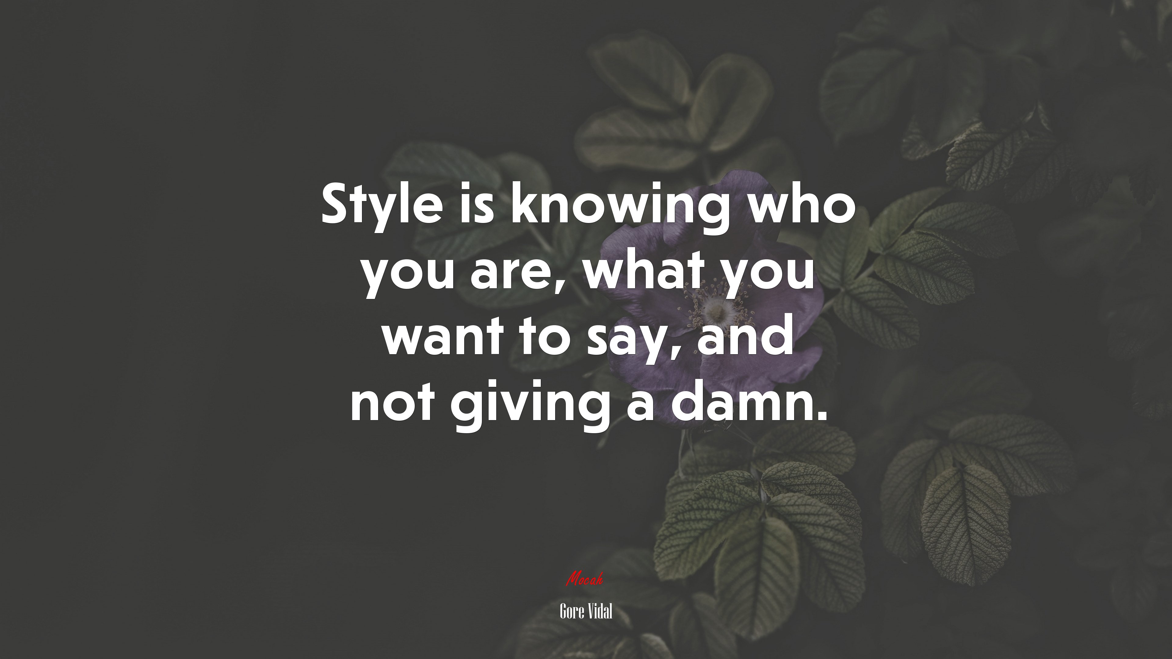 Style is knowing who you are, what you want to say, and not giving a damn. | Gore Vidal quote HD Wallpaper