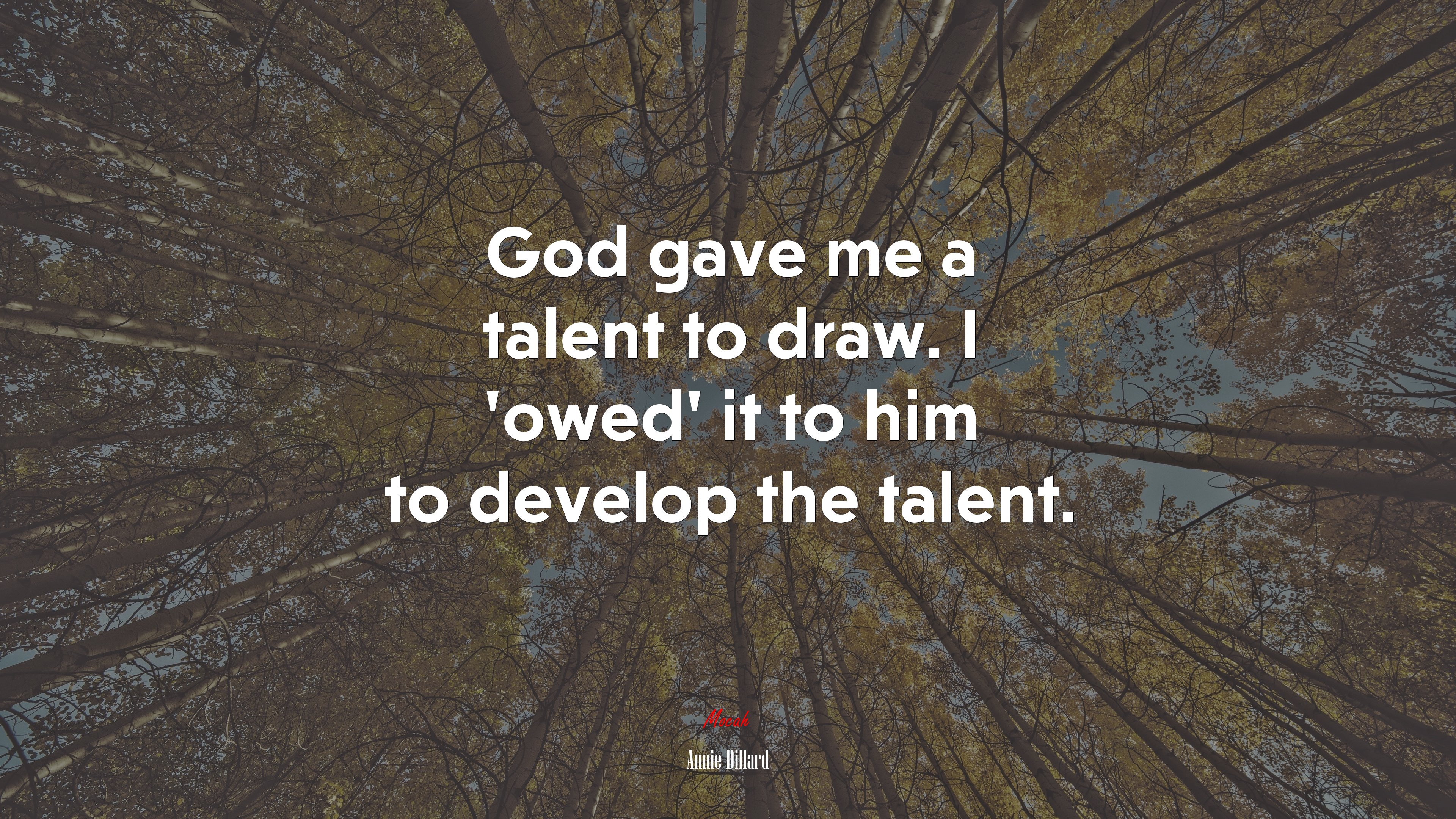 God gave me a talent to draw. I ‘owed’ it to him to develop the talent. | Annie Dillard quote HD Wallpaper