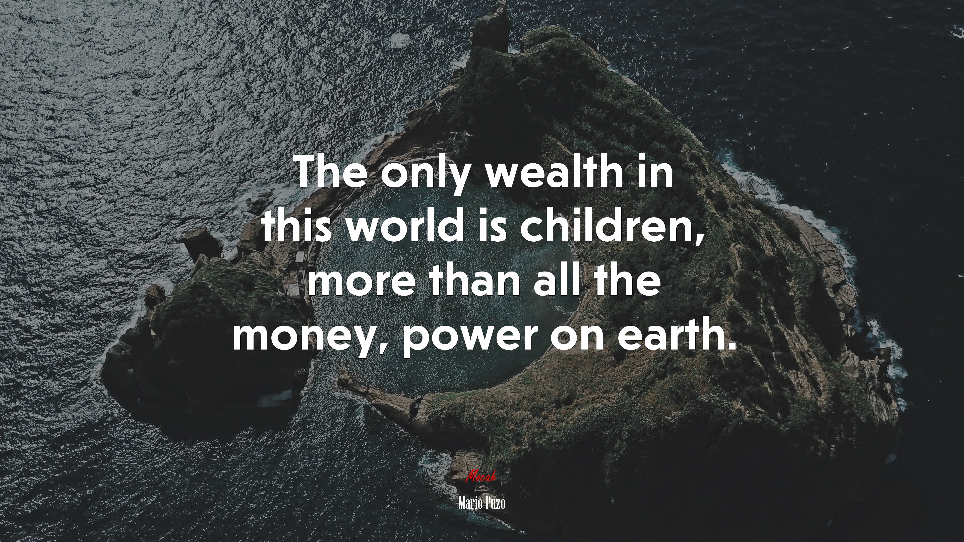 The only wealth in this world is children, more than all the money, power on earth. | Mario Puzo quote HD Wallpaper