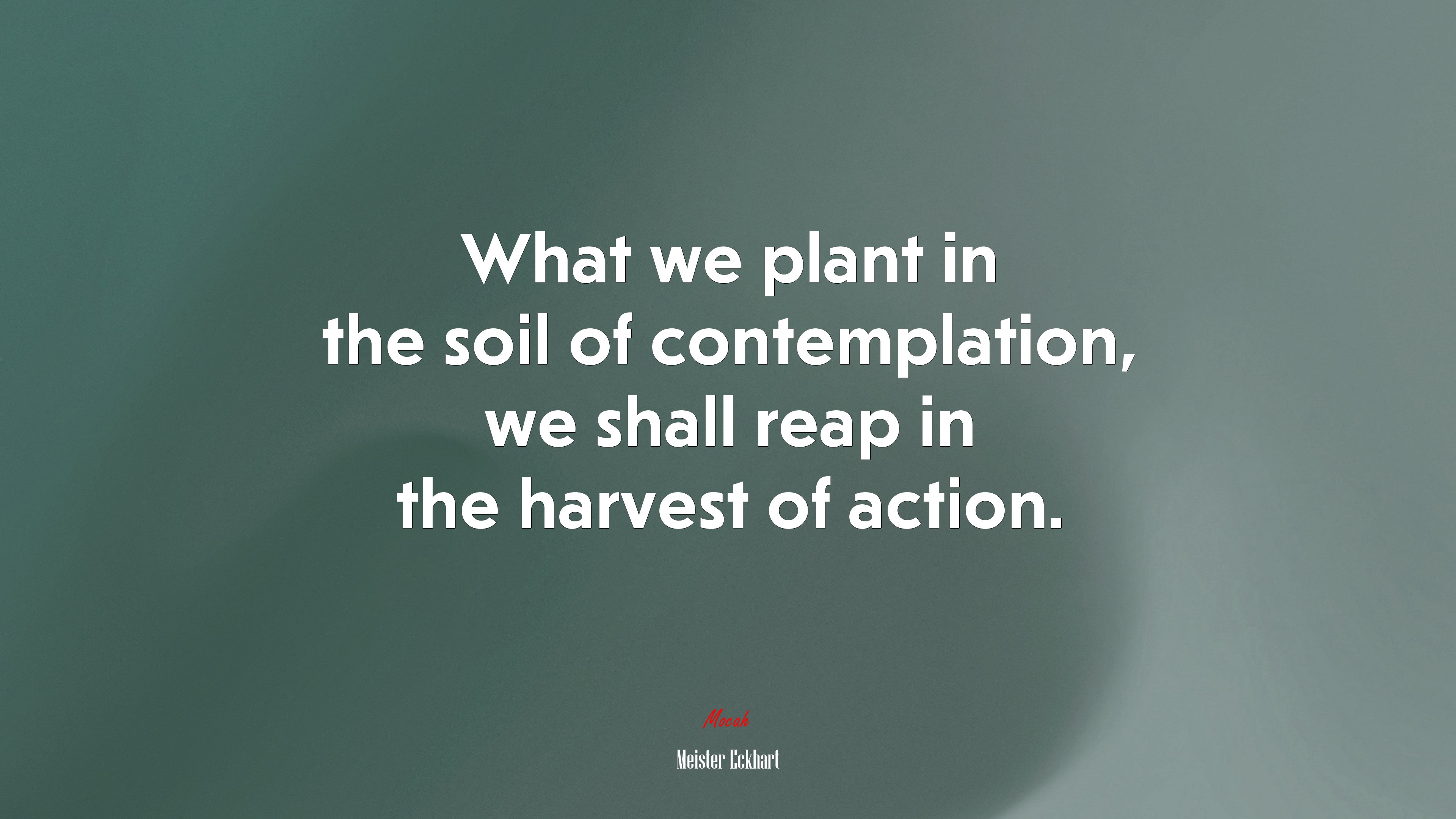 What we plant in the soil of contemplation, we shall reap in the harvest of action. | Meister Eckhart quote HD Wallpaper