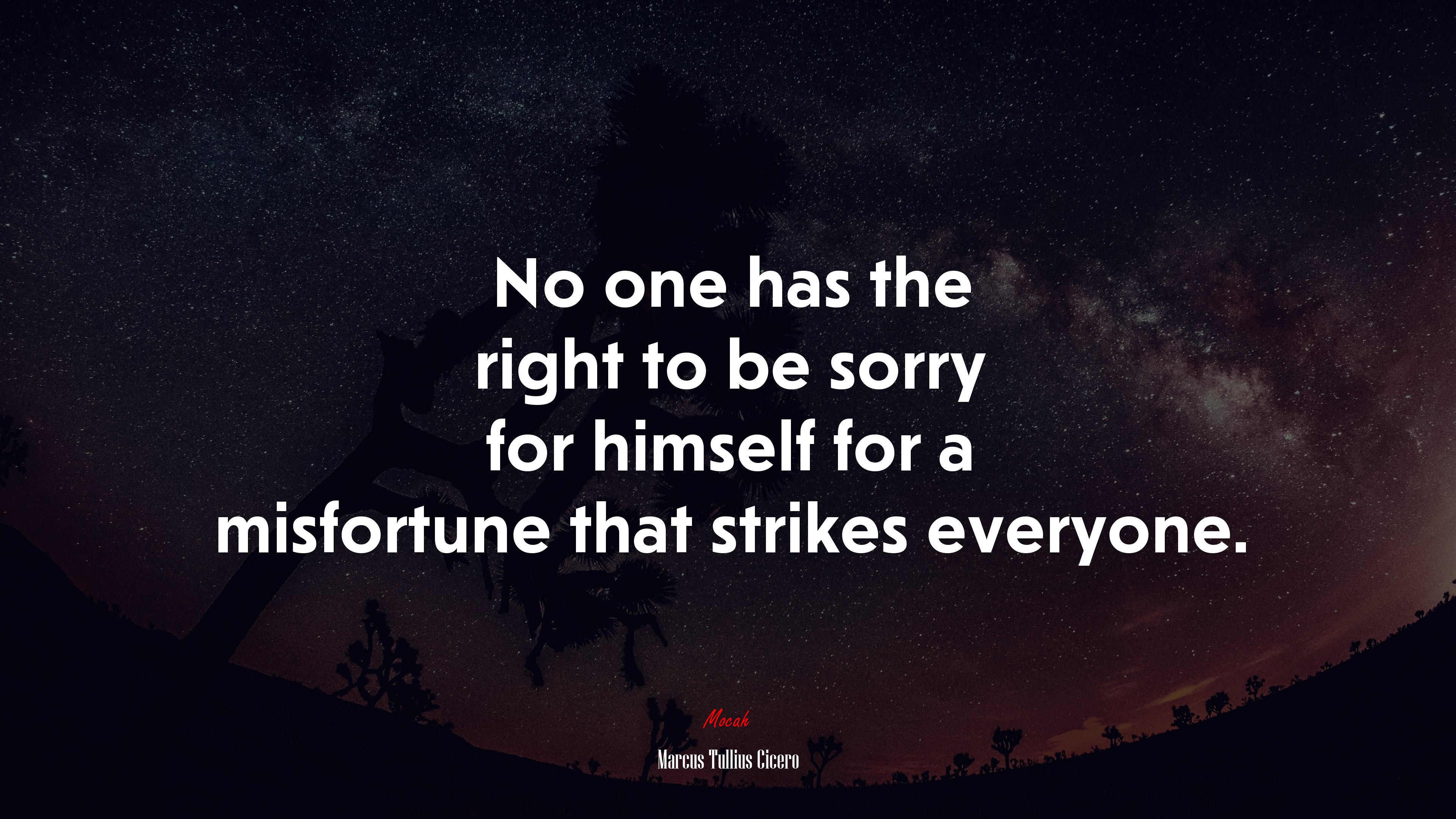No one has the right to be sorry for himself for a misfortune that strikes everyone. | Marcus Tullius Cicero quote HD Wallpaper