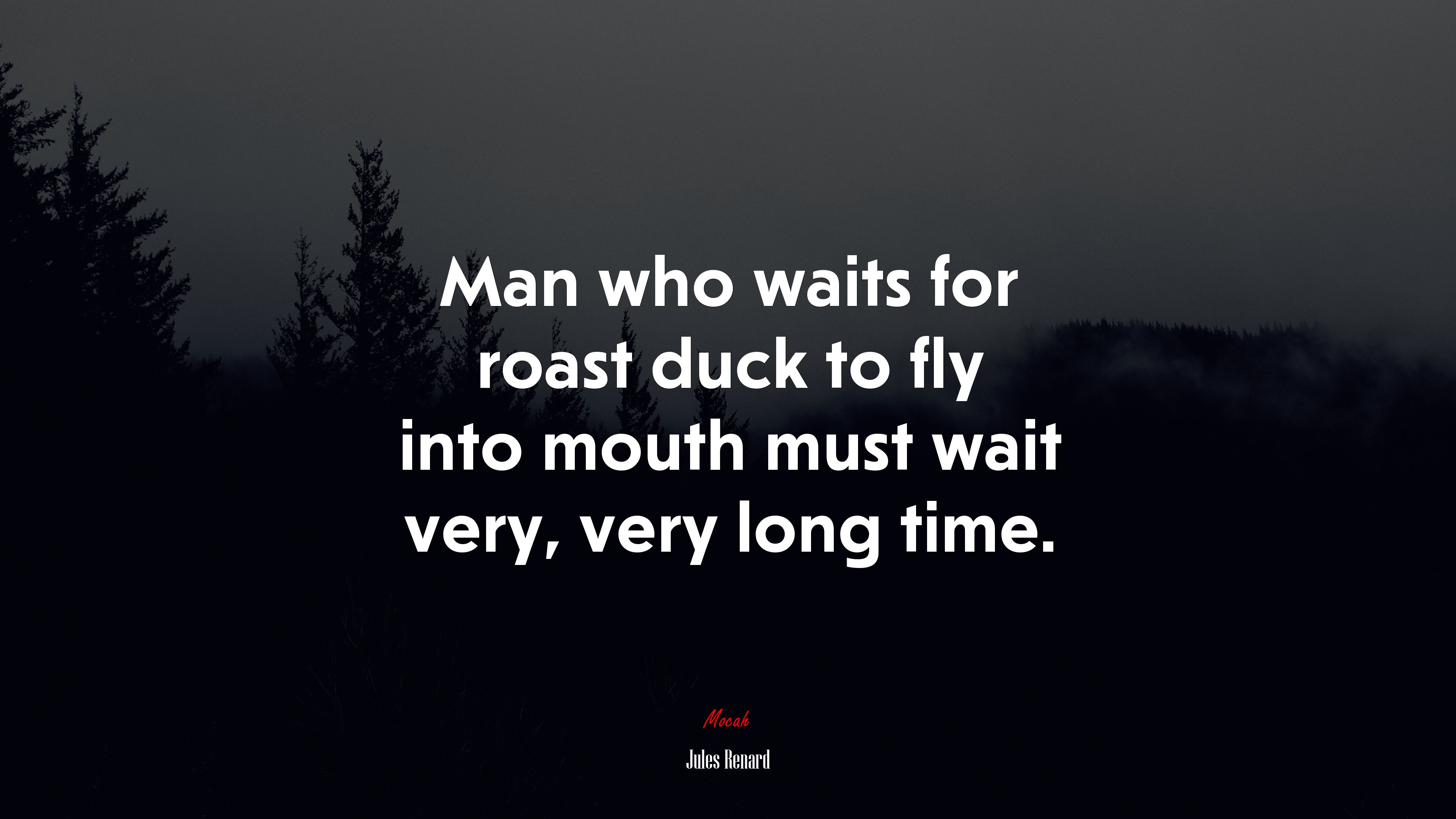 Man who waits for roast duck to fly into mouth must wait very, very long time. | Jules Renard quote HD Wallpaper