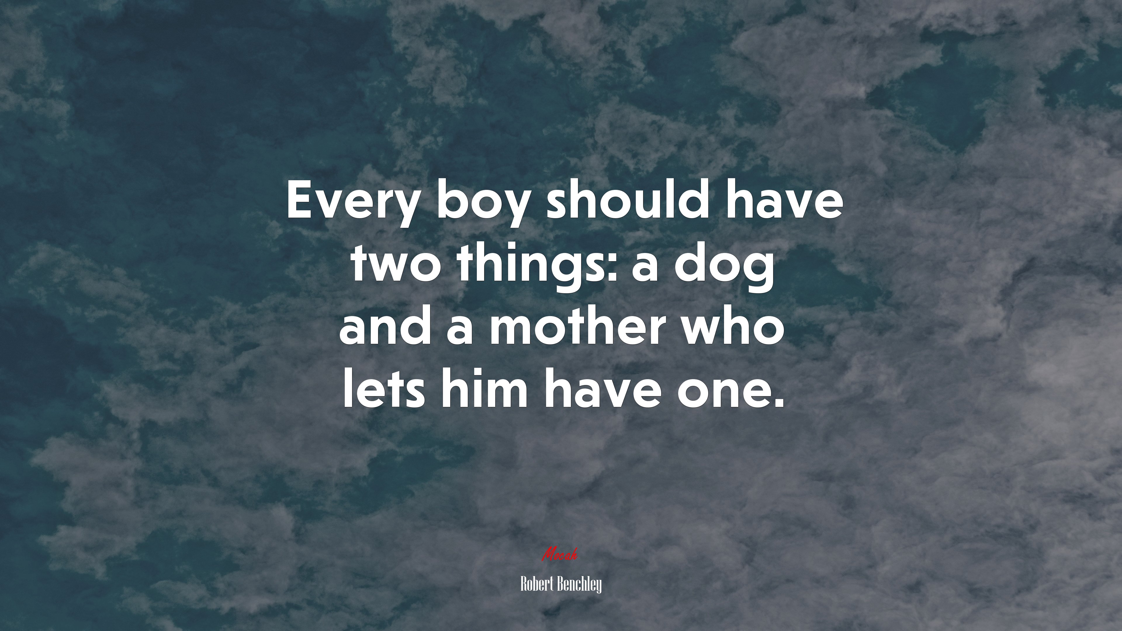 Every boy should have two things: a dog and a mother who lets him have one. | Robert Benchley quote HD Wallpaper