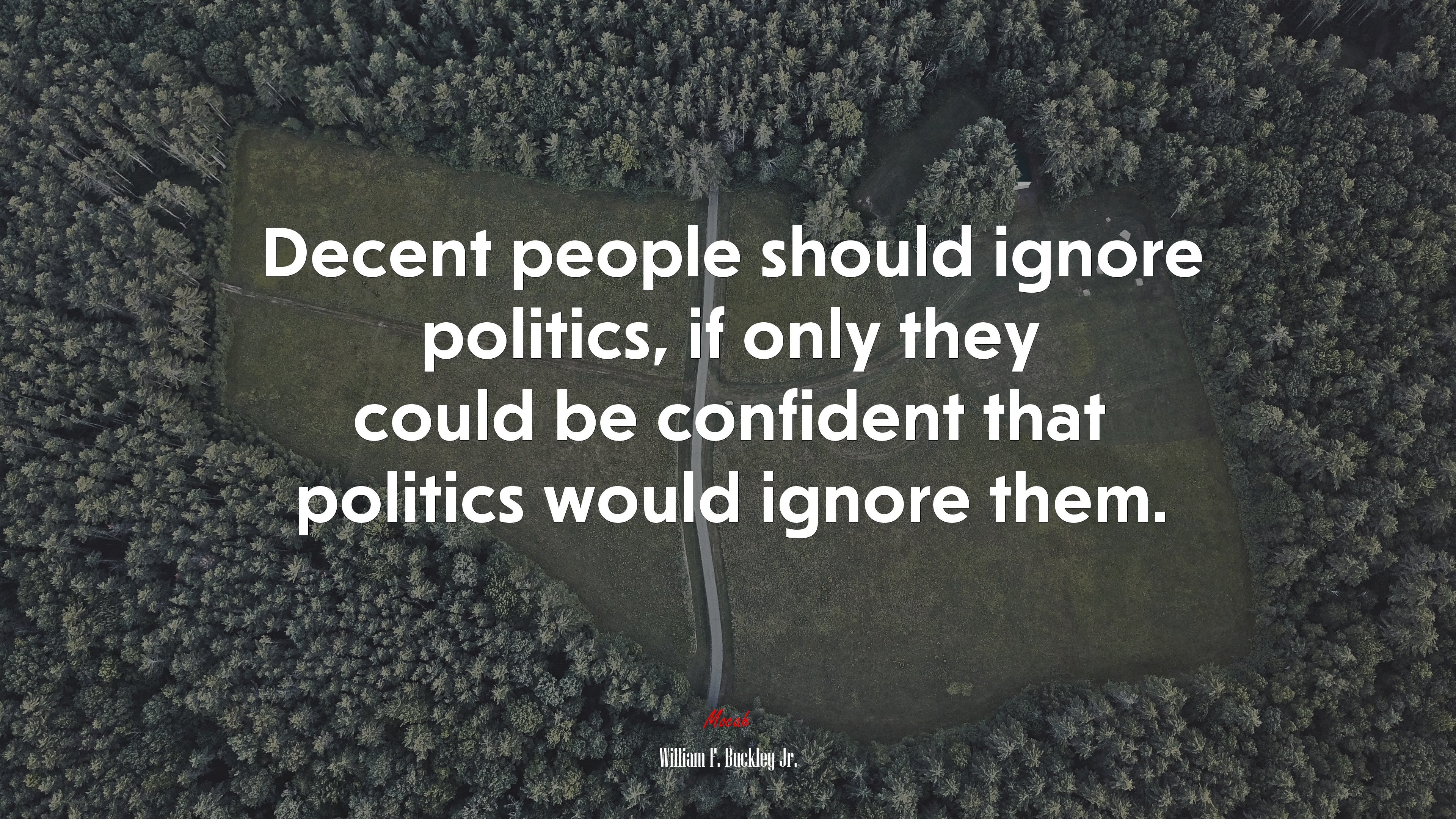 Decent people should ignore politics, if only they could be confident that politics would ignore them. | William F. Buckley Jr. quote HD Wallpaper