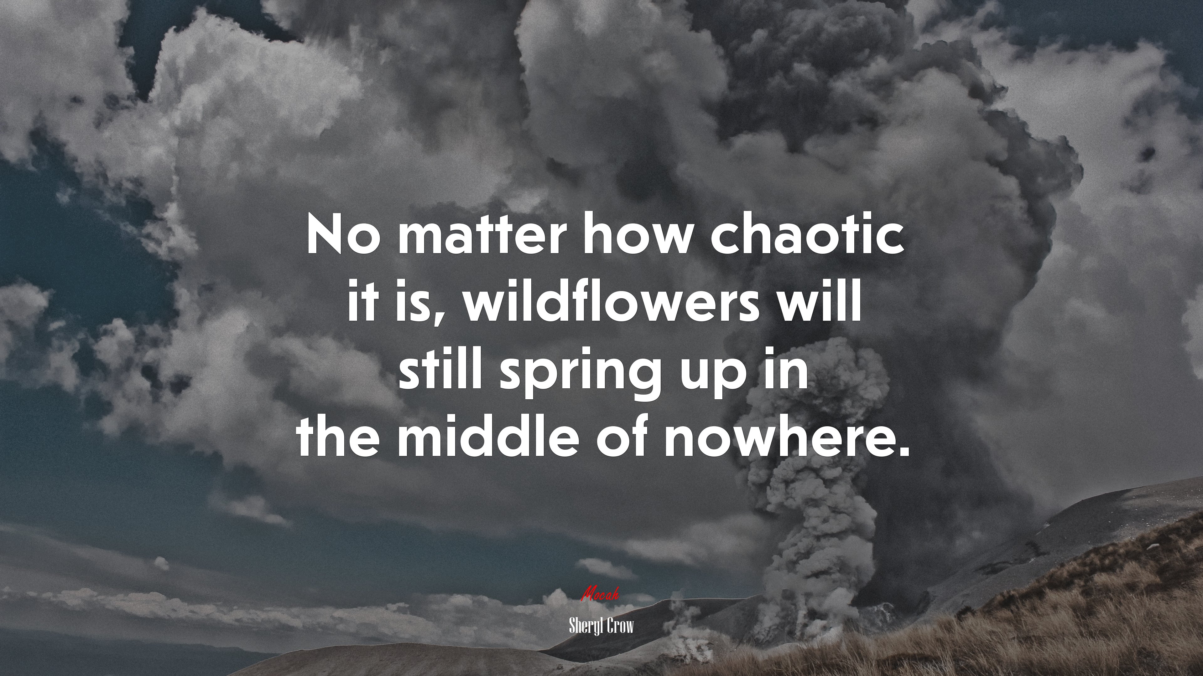 No matter how chaotic it is, wildflowers will still spring up in the middle of nowhere. | Sheryl Crow quote HD Wallpaper
