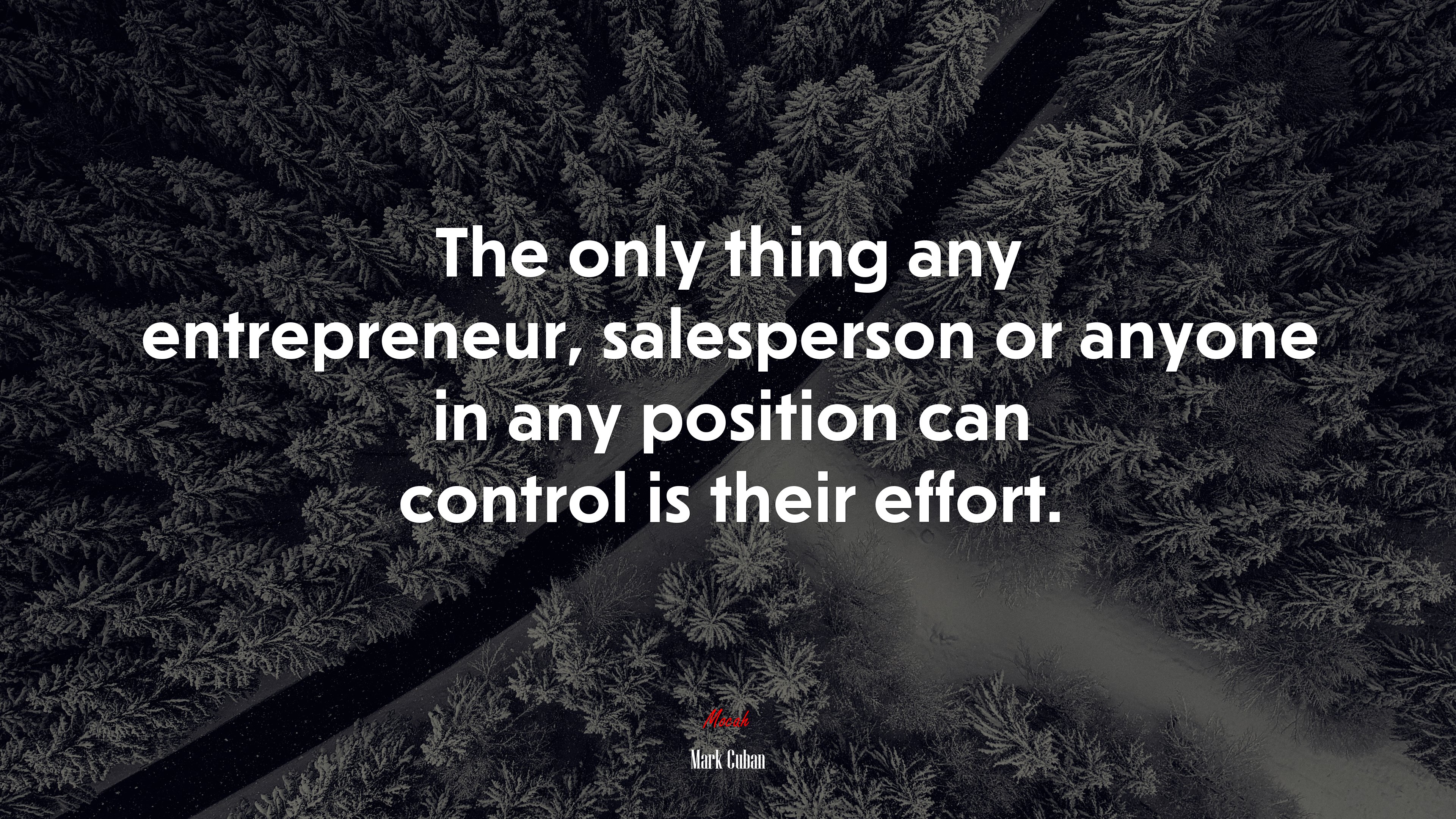 The only thing any entrepreneur, salesperson or anyone in any position can control is their effort. | Mark Cuban quote HD Wallpaper