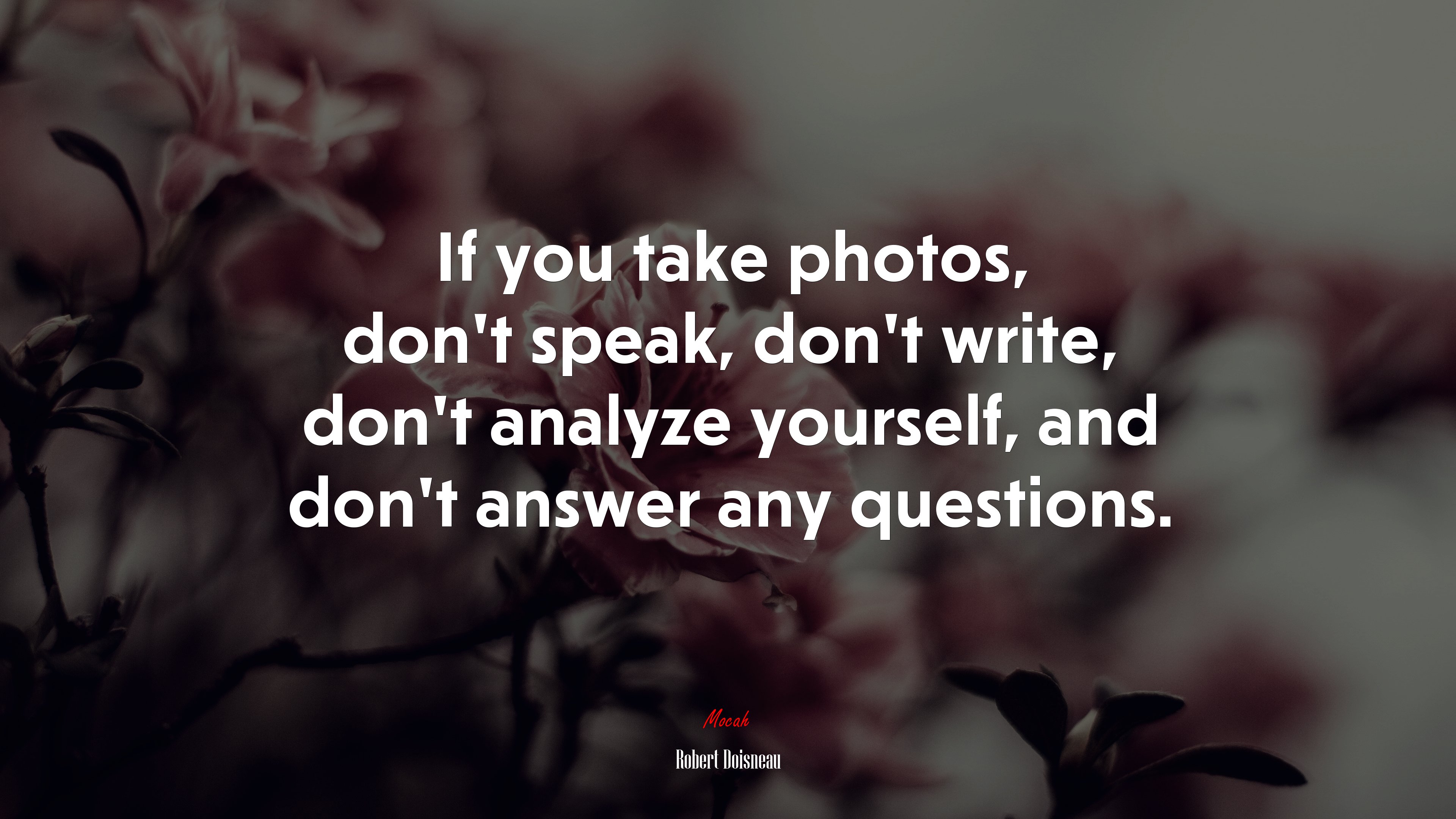 If you take photos, don’t speak, don’t write, don’t analyze yourself, and don’t answer any questions. | Robert Doisneau quote HD Wallpaper