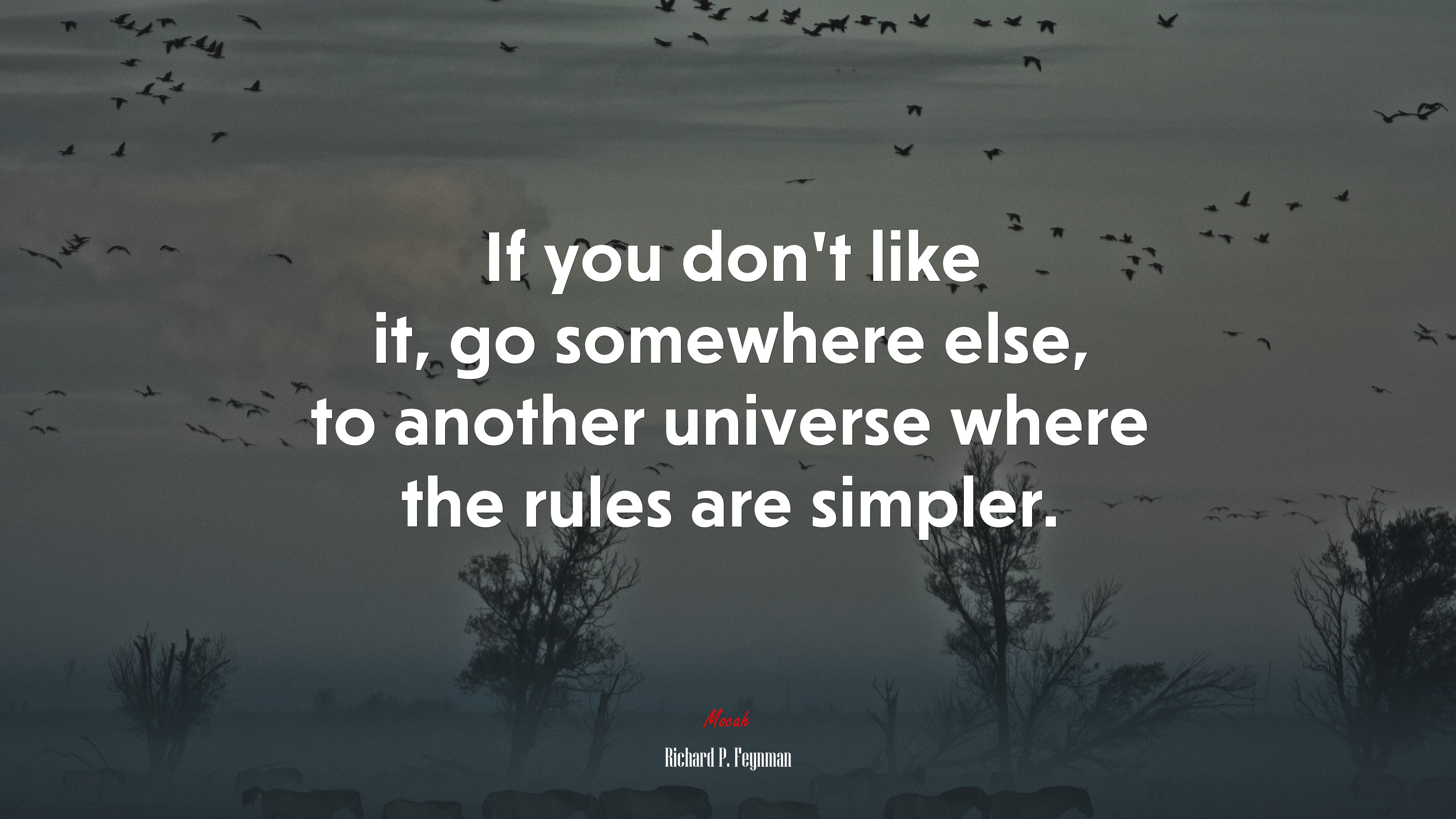 If you don’t like it, go somewhere else, to another universe where the rules are simpler. | Richard P. Feynman quote HD Wallpaper
