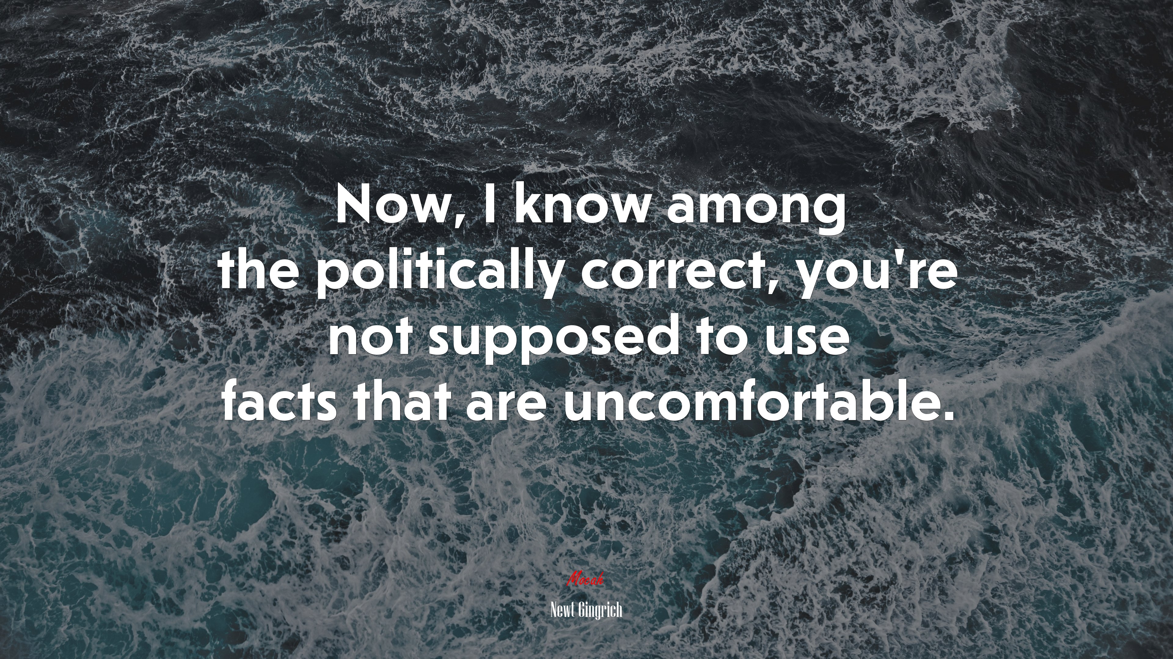 Now, I know among the politically correct, you’re not supposed to use facts that are uncomfortable. | Newt Gingrich quote HD Wallpaper