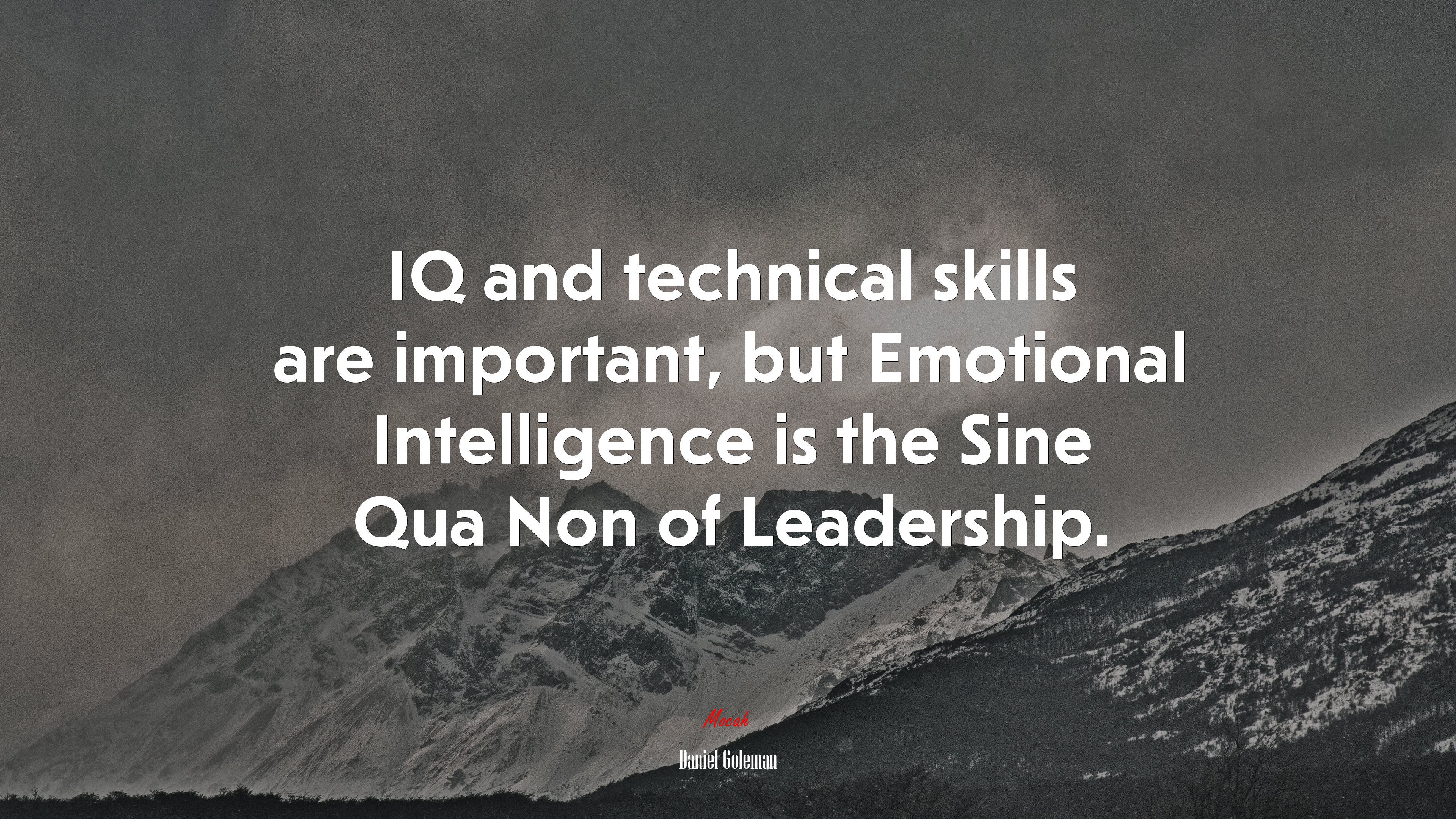 IQ and technical skills are important, but Emotional Intelligence is the Sine Qua Non of Leadership. | Daniel Goleman quote HD Wallpaper