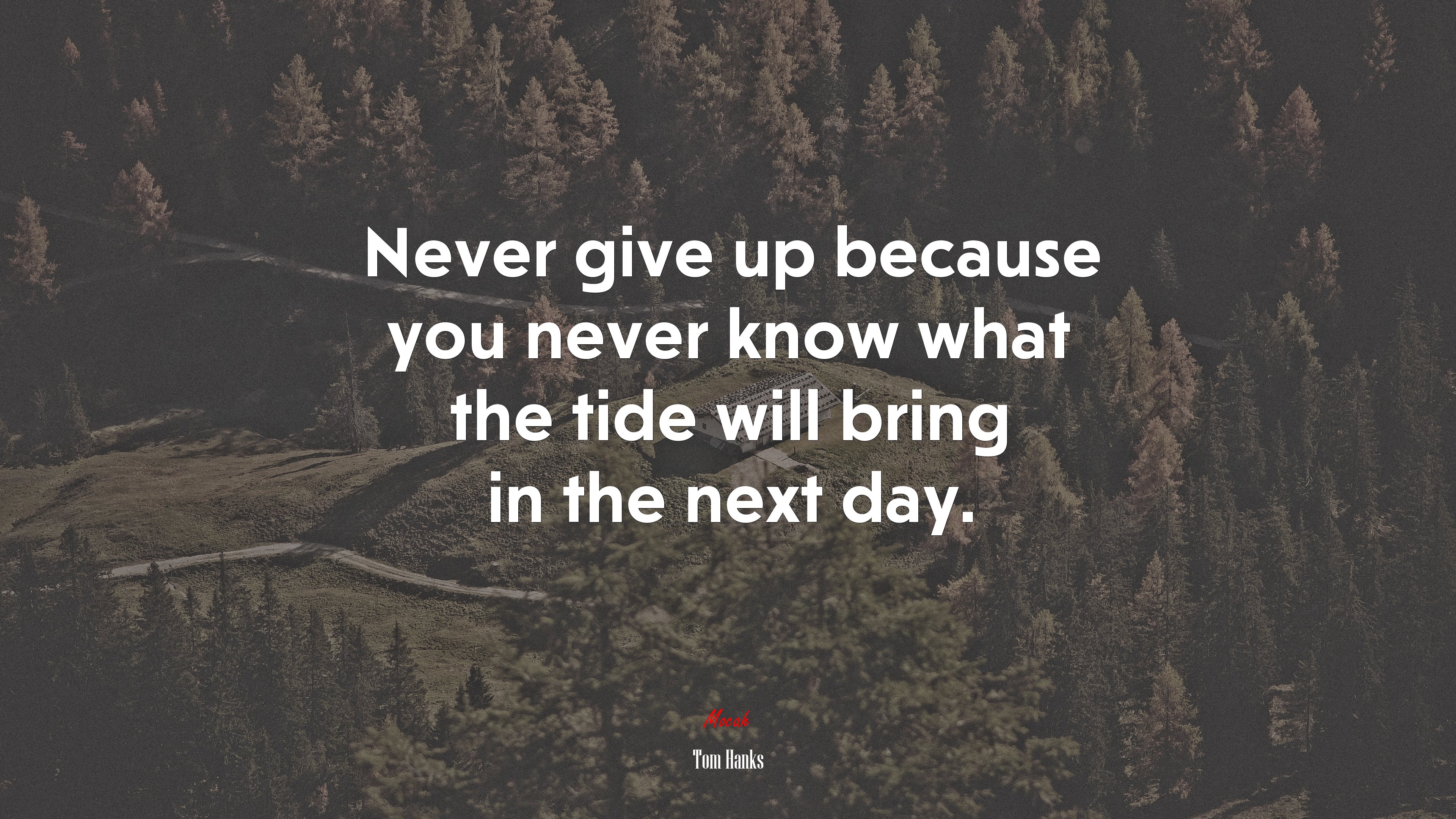 Never give up because you never know what the tide will bring in the next day. | Tom Hanks quote HD Wallpaper