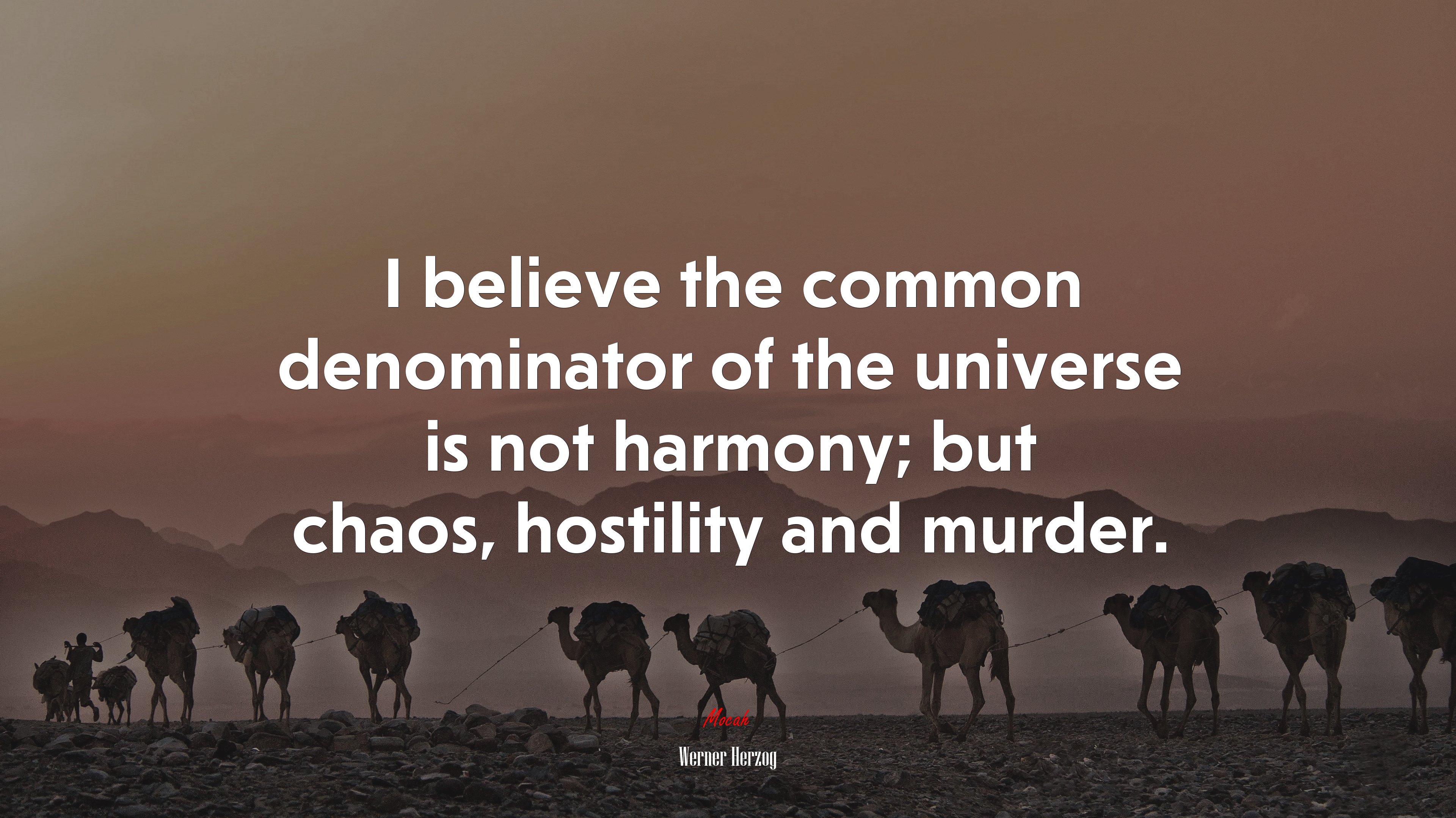 I believe the common denominator of the universe is not harmony; but chaos, hostility and murder. | Werner Herzog quote HD Wallpaper