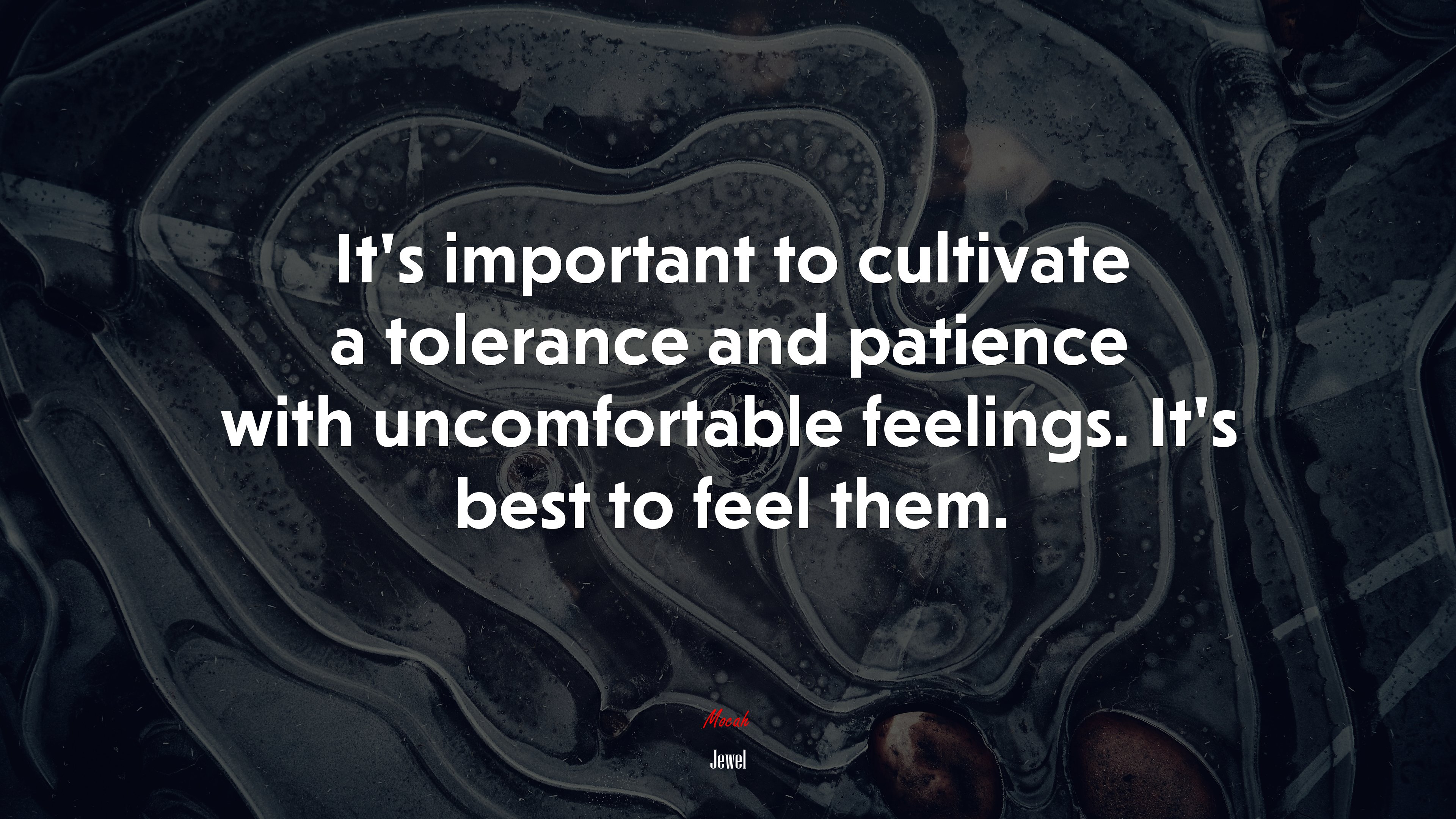 It’s important to cultivate a tolerance and patience with uncomfortable feelings. It’s best to feel them. | Jewel quote HD Wallpaper