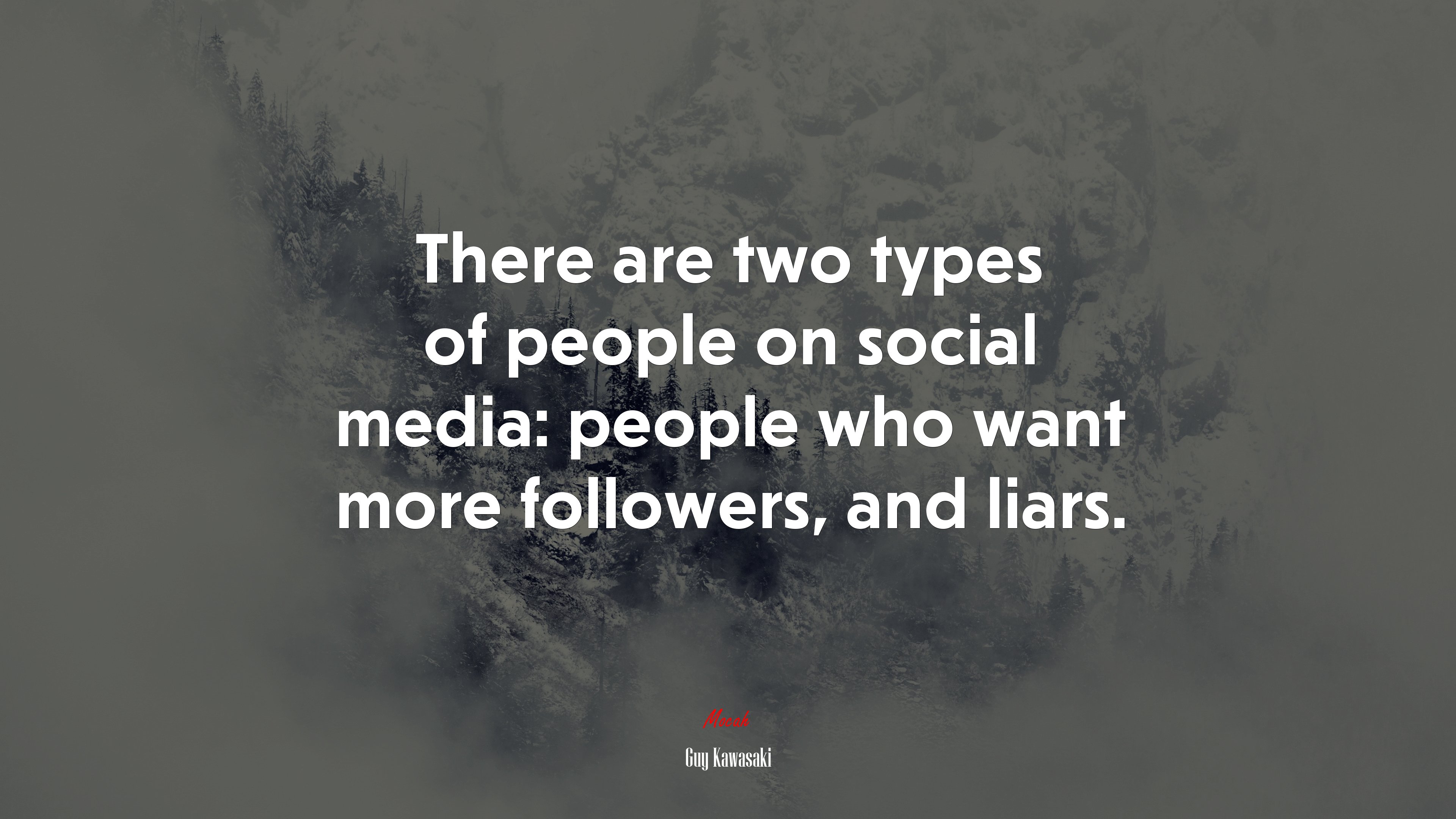 There are two types of people on social media: people who want more followers, and liars. | Guy Kawasaki quote HD Wallpaper