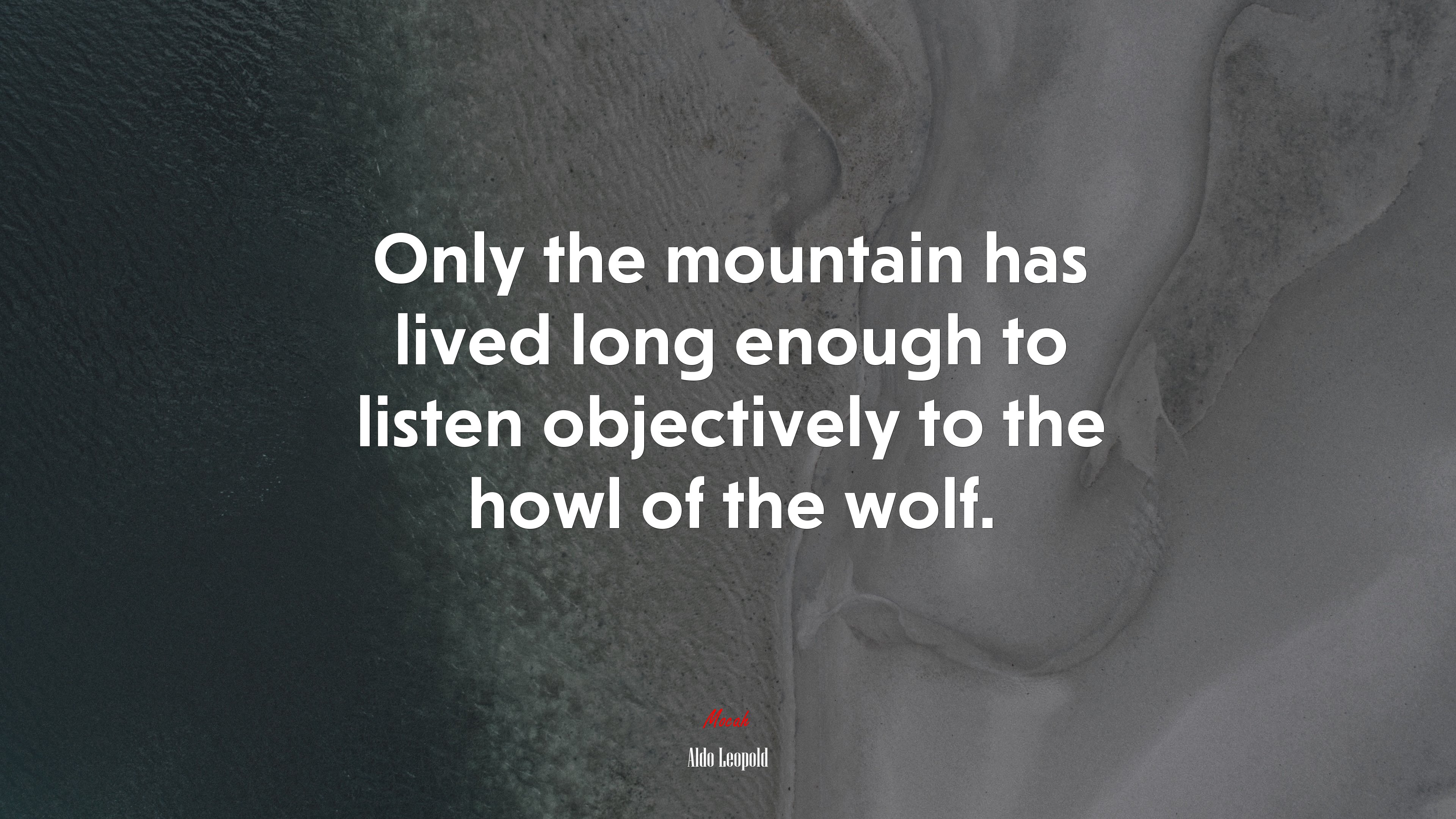 Only the mountain has lived long enough to listen objectively to the howl of the wolf. | Aldo Leopold quote HD Wallpaper