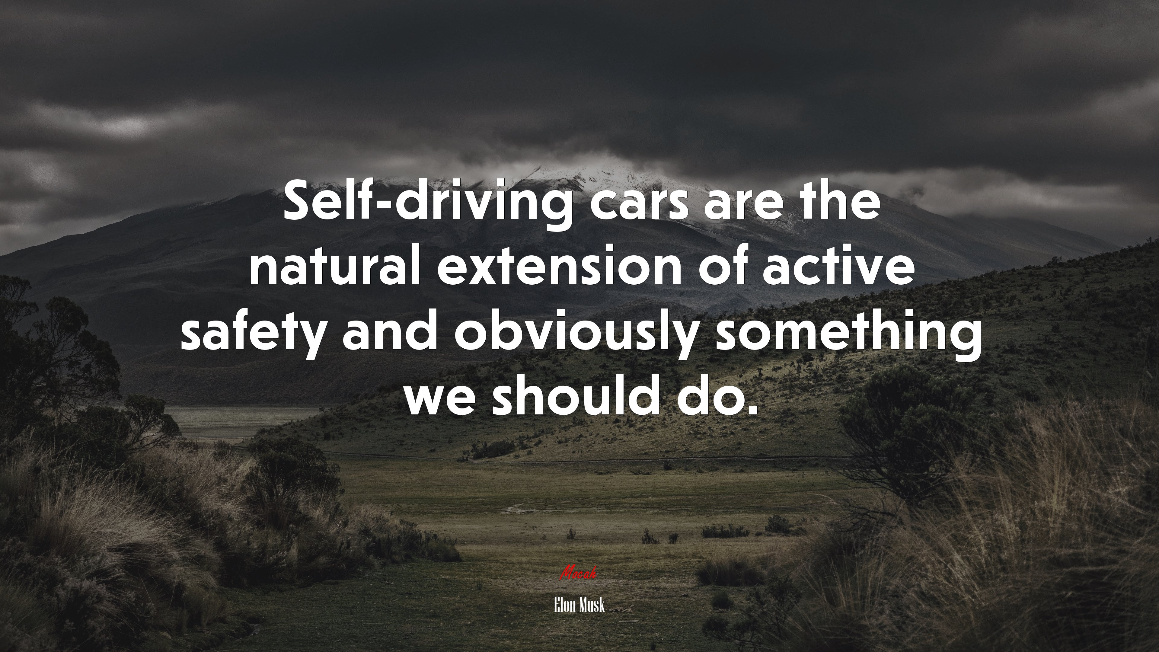 Self-driving cars are the natural extension of active safety and obviously something we should do. | Elon Musk quote HD Wallpaper