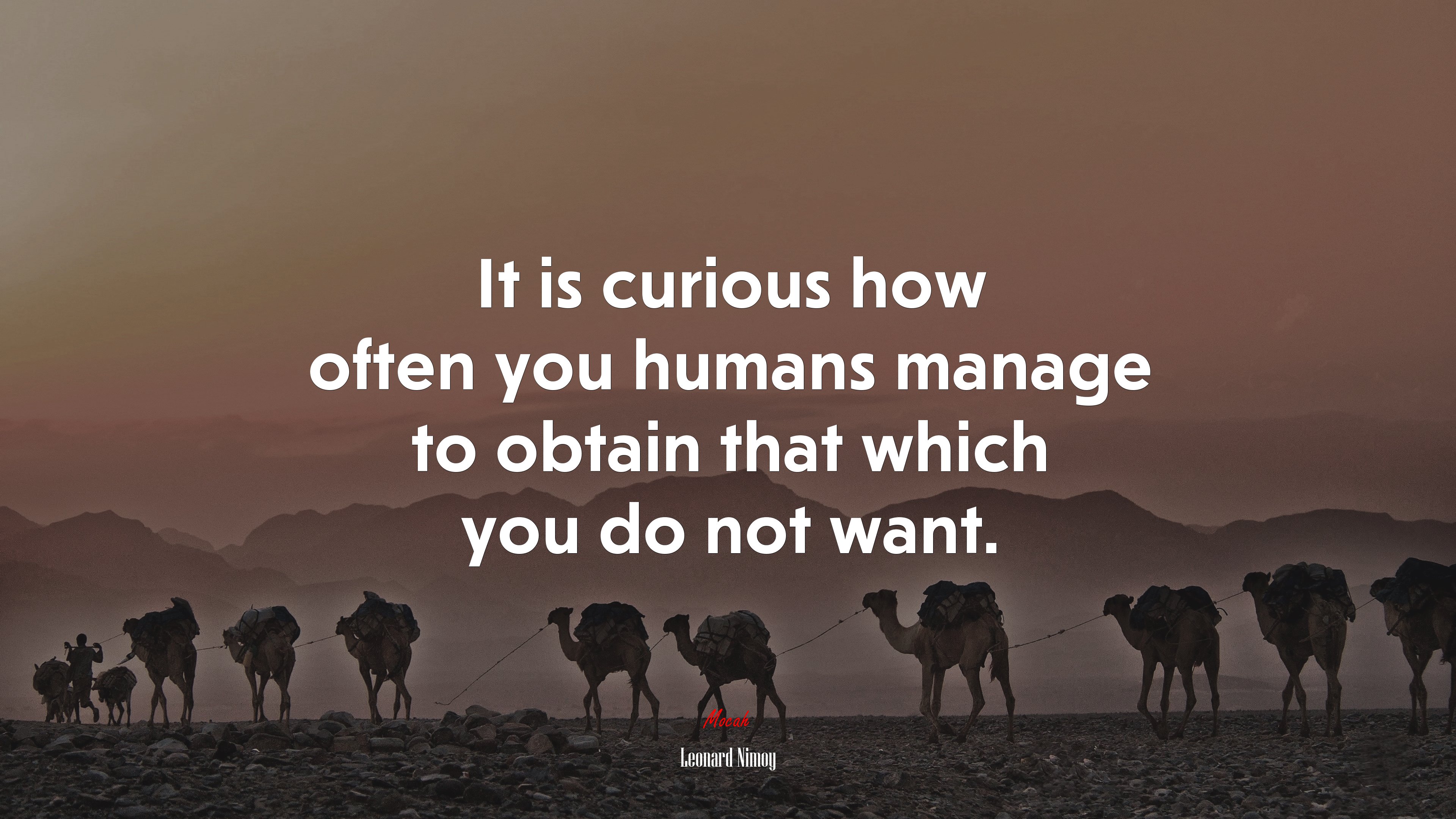 It is curious how often you humans manage to obtain that which you do not want. | Leonard Nimoy quote HD Wallpaper