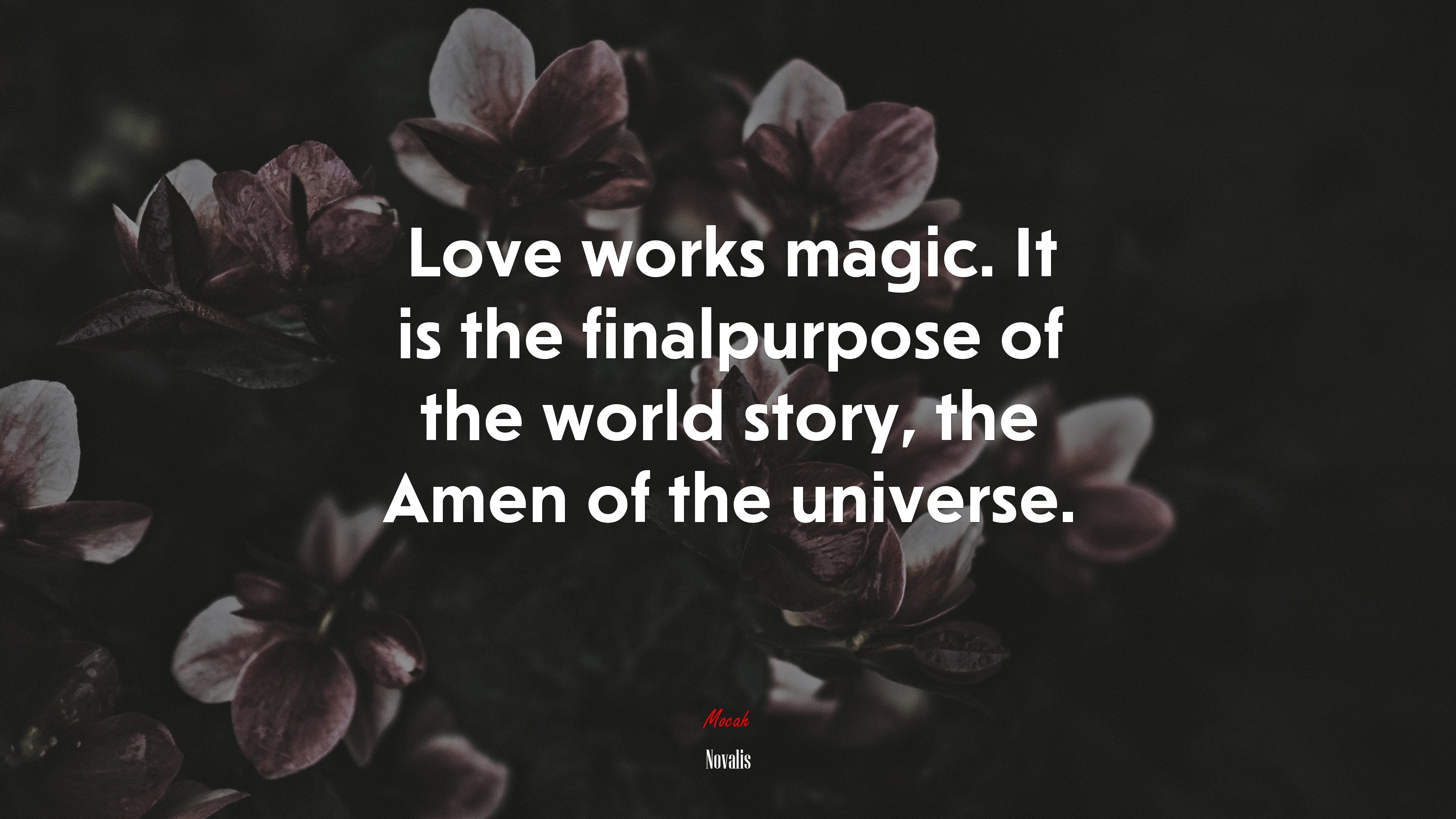 Love works magic. It is the finalpurpose of the world story, the Amen of the universe. | Novalis quote HD Wallpaper