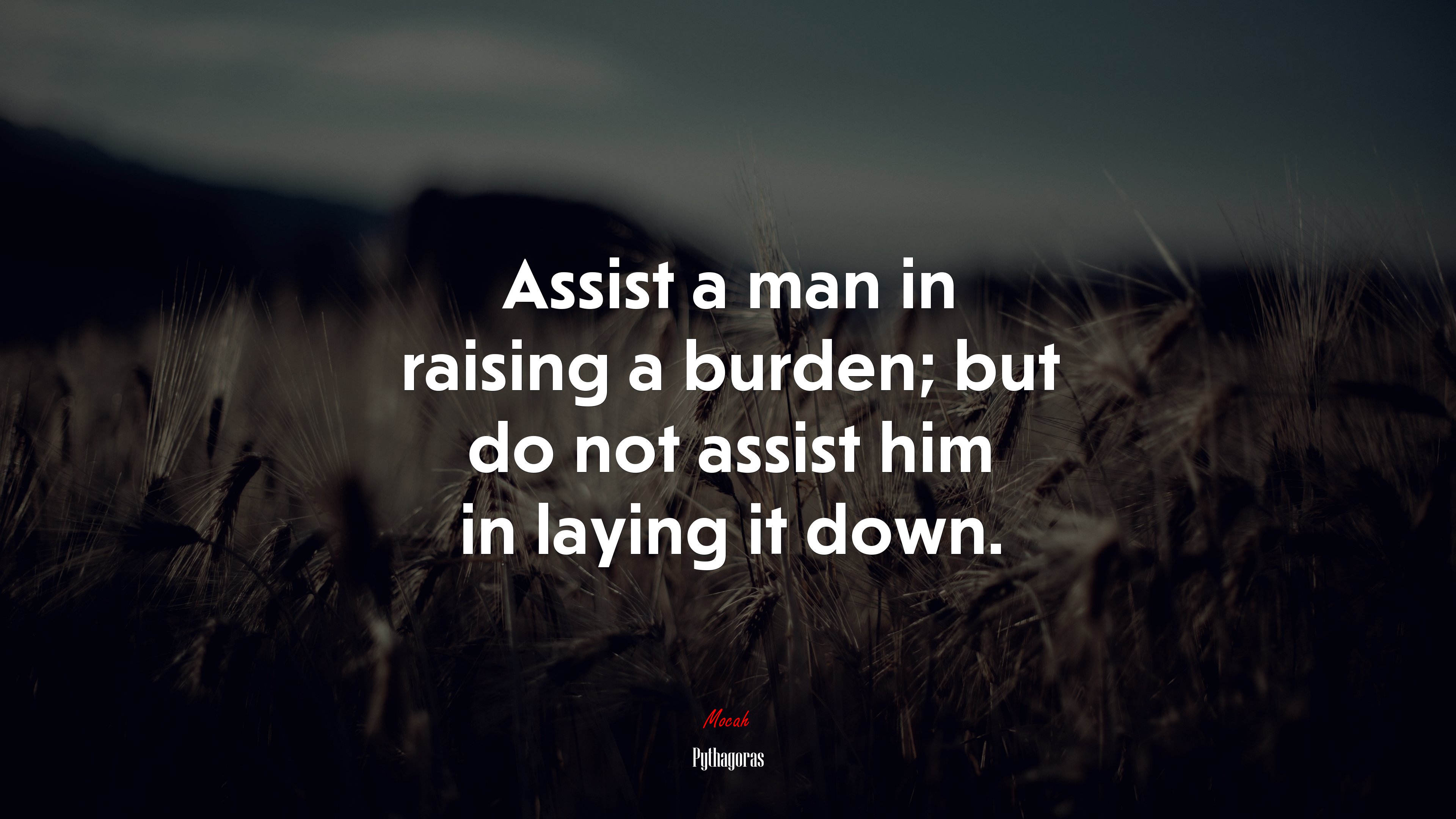Assist a man in raising a burden; but do not assist him in laying it down. | Pythagoras quote HD Wallpaper