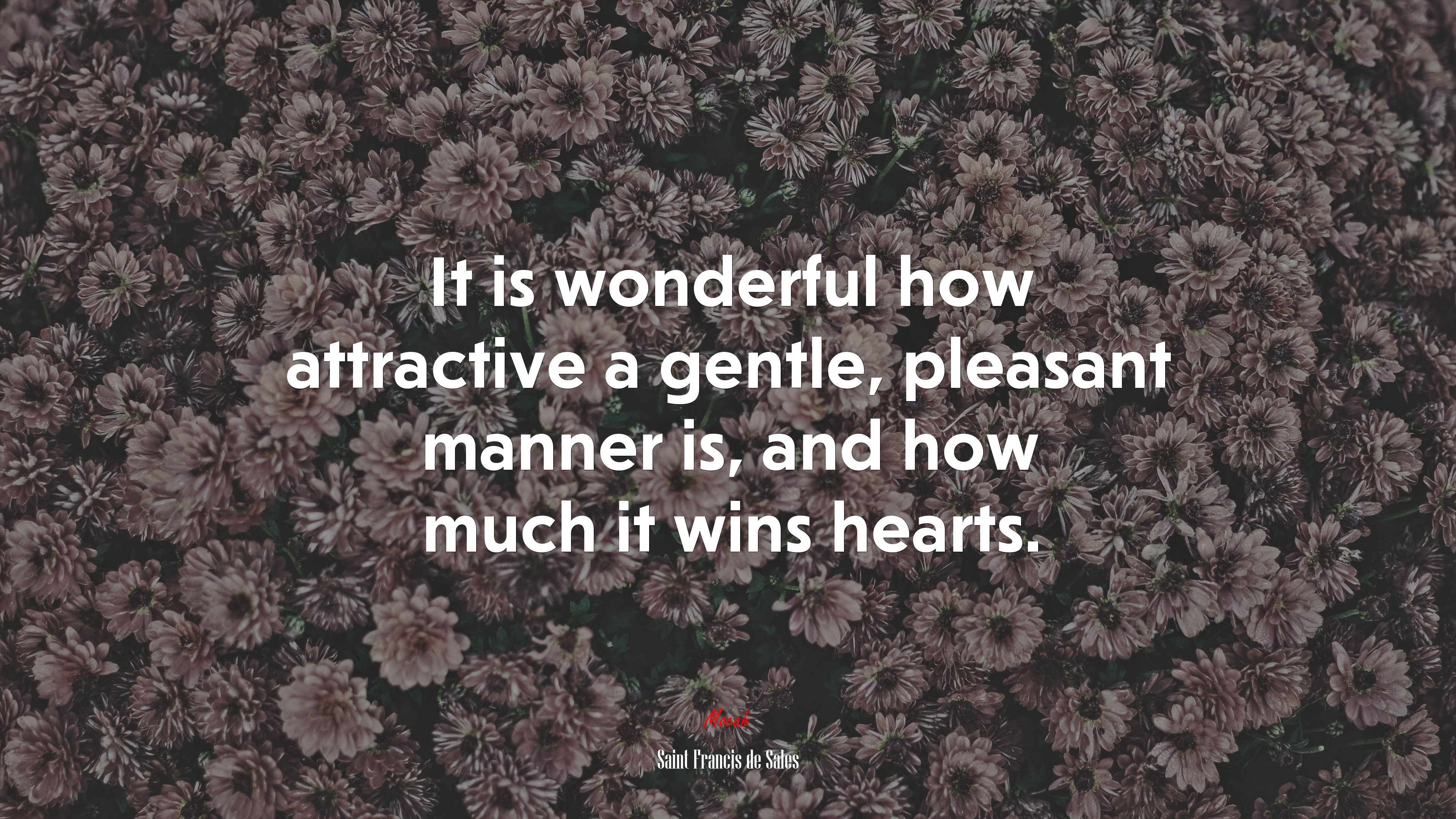 It is wonderful how attractive a gentle, pleasant manner is, and how much it wins hearts. | Saint Francis de Sales quote HD Wallpaper