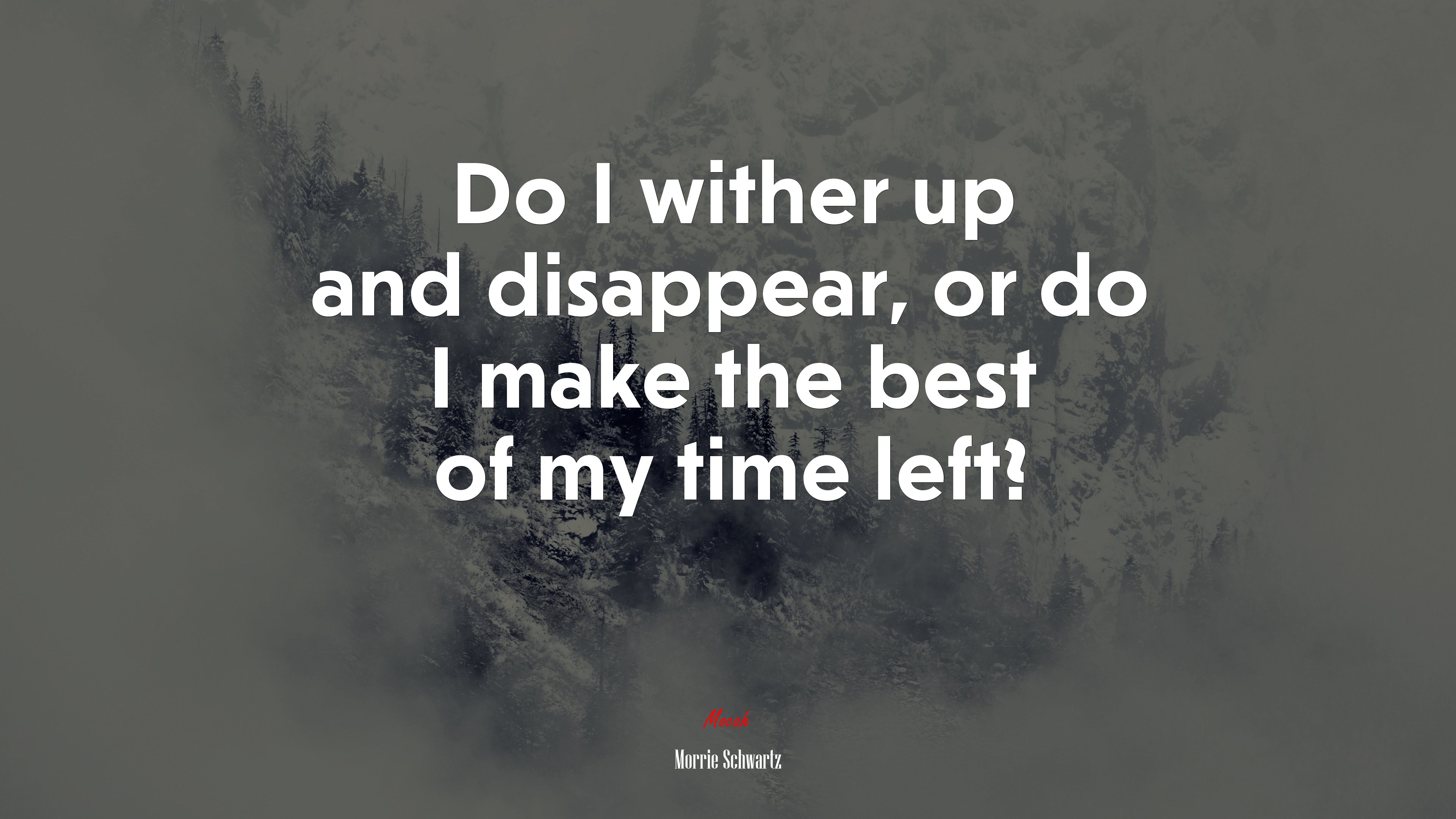 Do I wither up and disappear, or do I make the best of my time left? | Morrie Schwartz quote HD Wallpaper