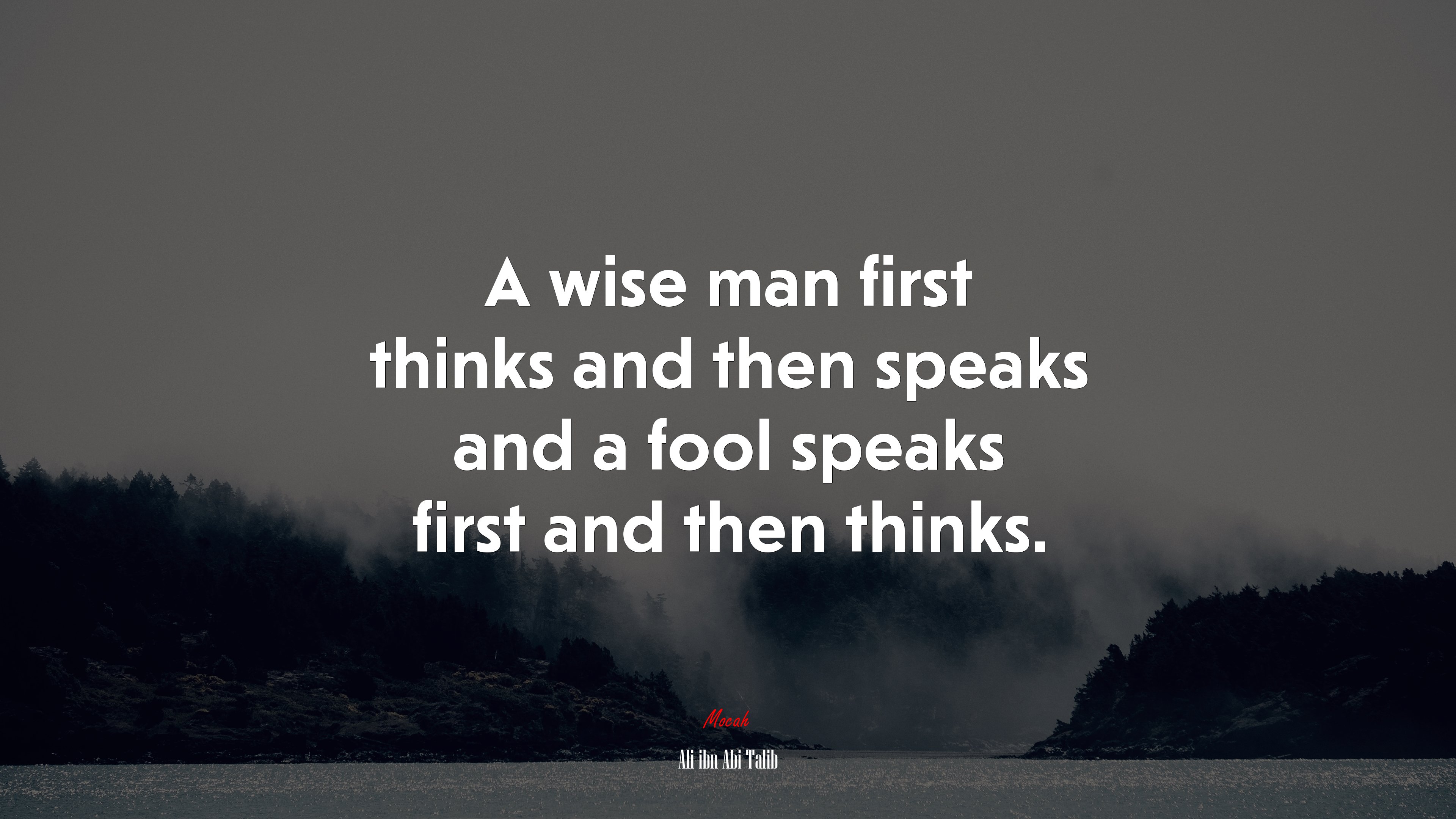 A wise man first thinks and then speaks and a fool speaks first and then thinks. | Ali ibn Abi Talib quote HD Wallpaper