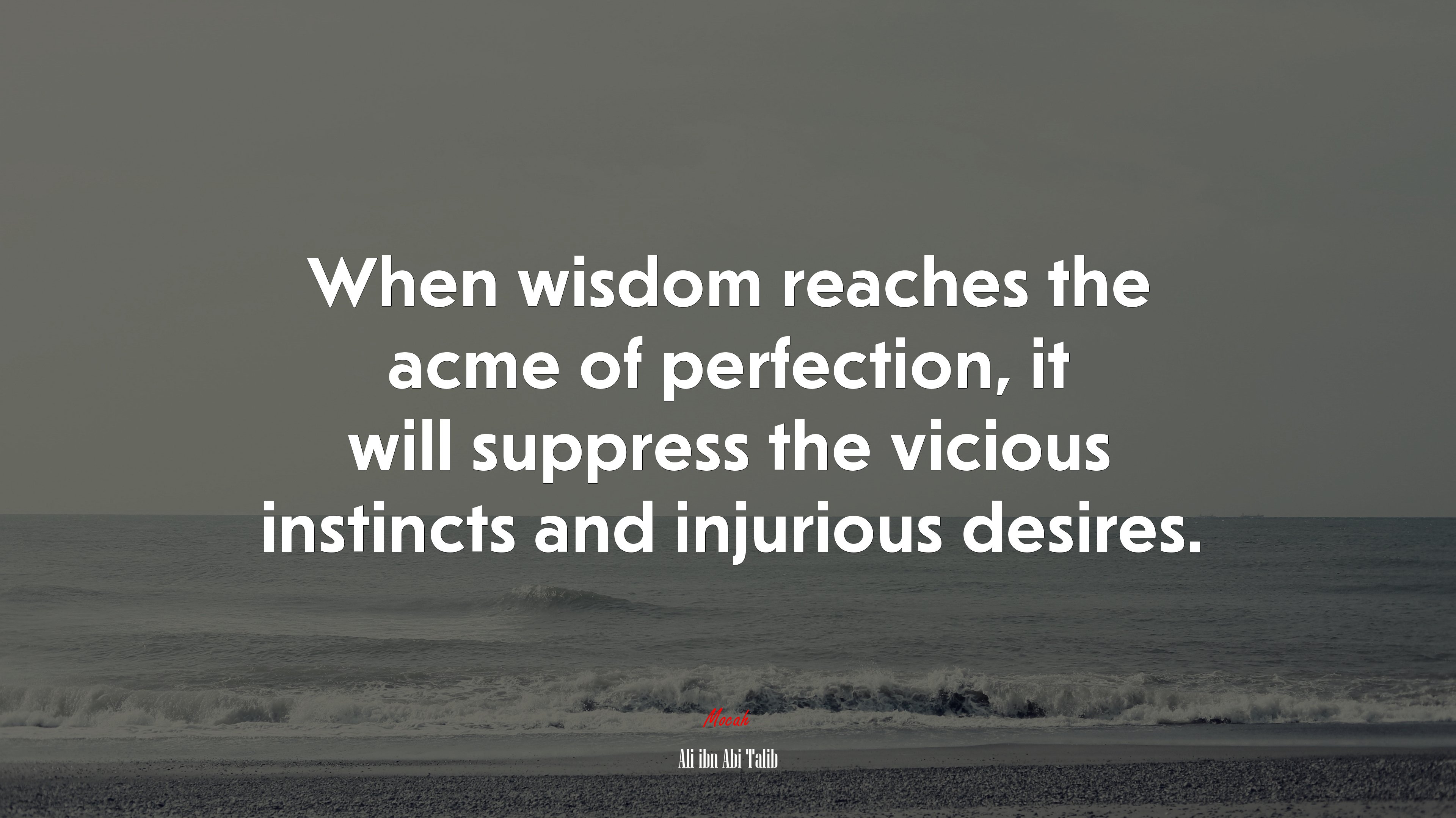 When wisdom reaches the acme of perfection, it will suppress the vicious instincts and injurious desires. | Ali ibn Abi Talib quote HD Wallpaper