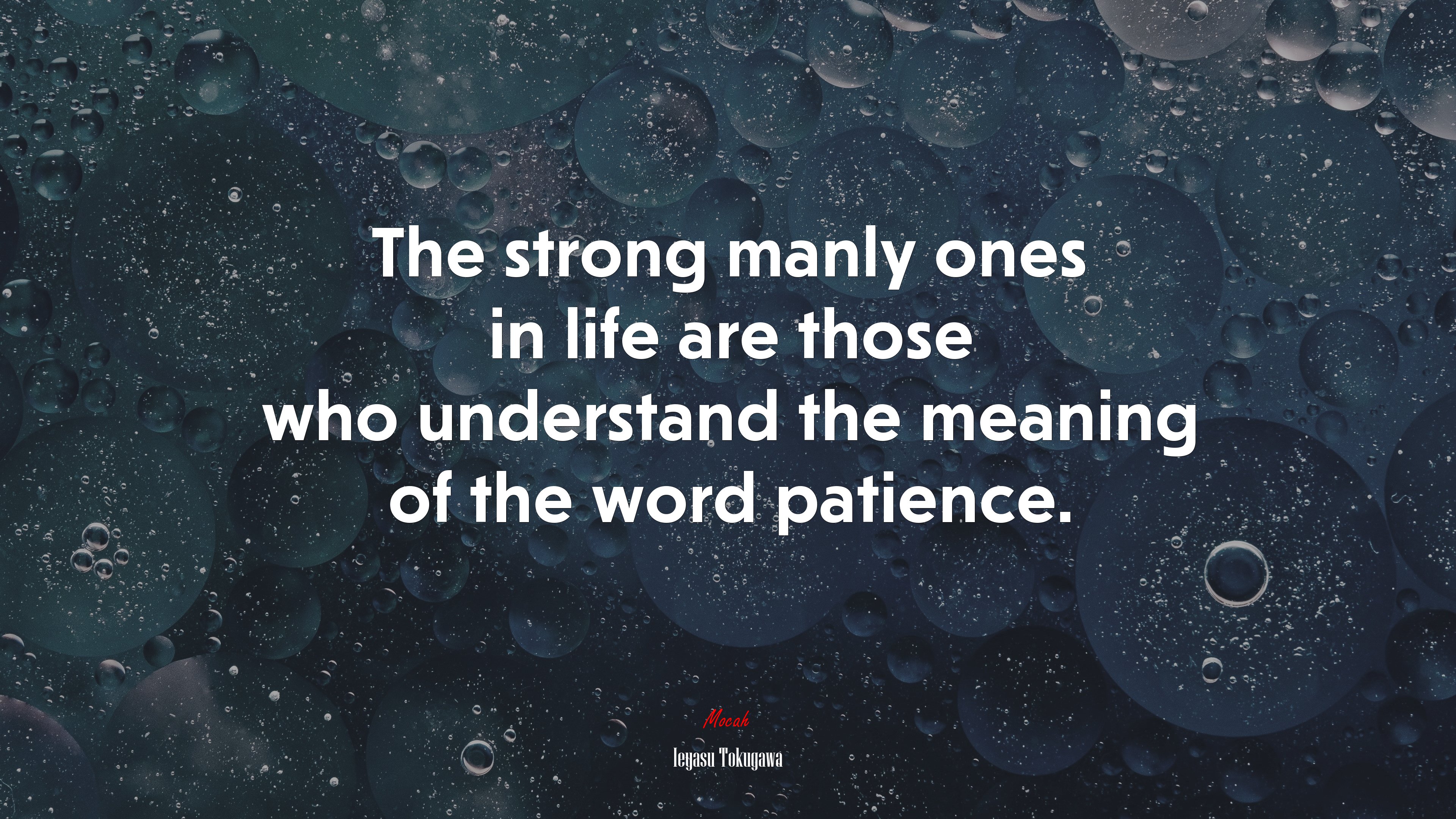 The strong manly ones in life are those who understand the meaning of the word patience. | Ieyasu Tokugawa quote HD Wallpaper