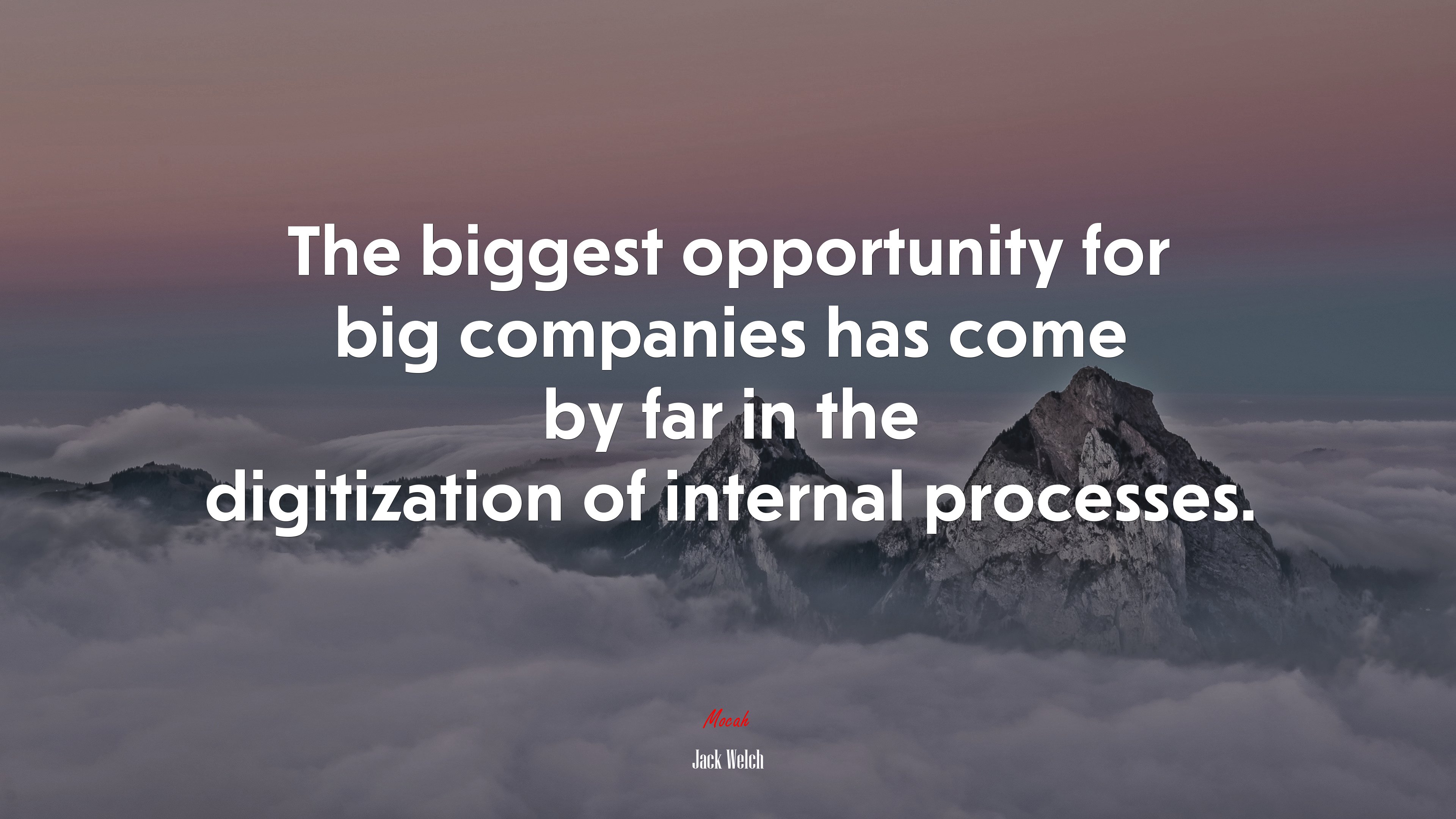 The biggest opportunity for big companies has come by far in the digitization of internal processes. | Jack Welch quote HD Wallpaper