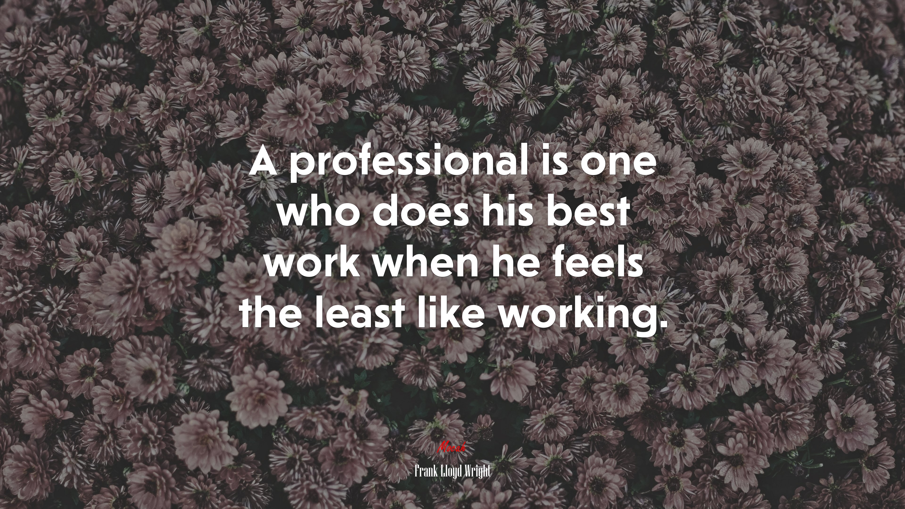 A professional is one who does his best work when he feels the least like working. | Frank Lloyd Wright quote HD Wallpaper