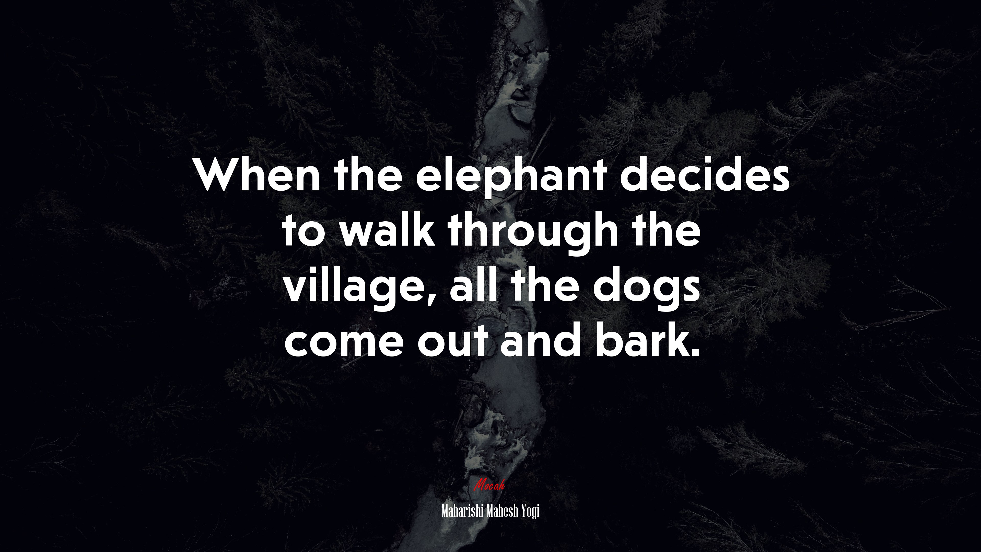 When the elephant decides to walk through the village, all the dogs come out and bark. | Maharishi Mahesh Yogi quote HD Wallpaper