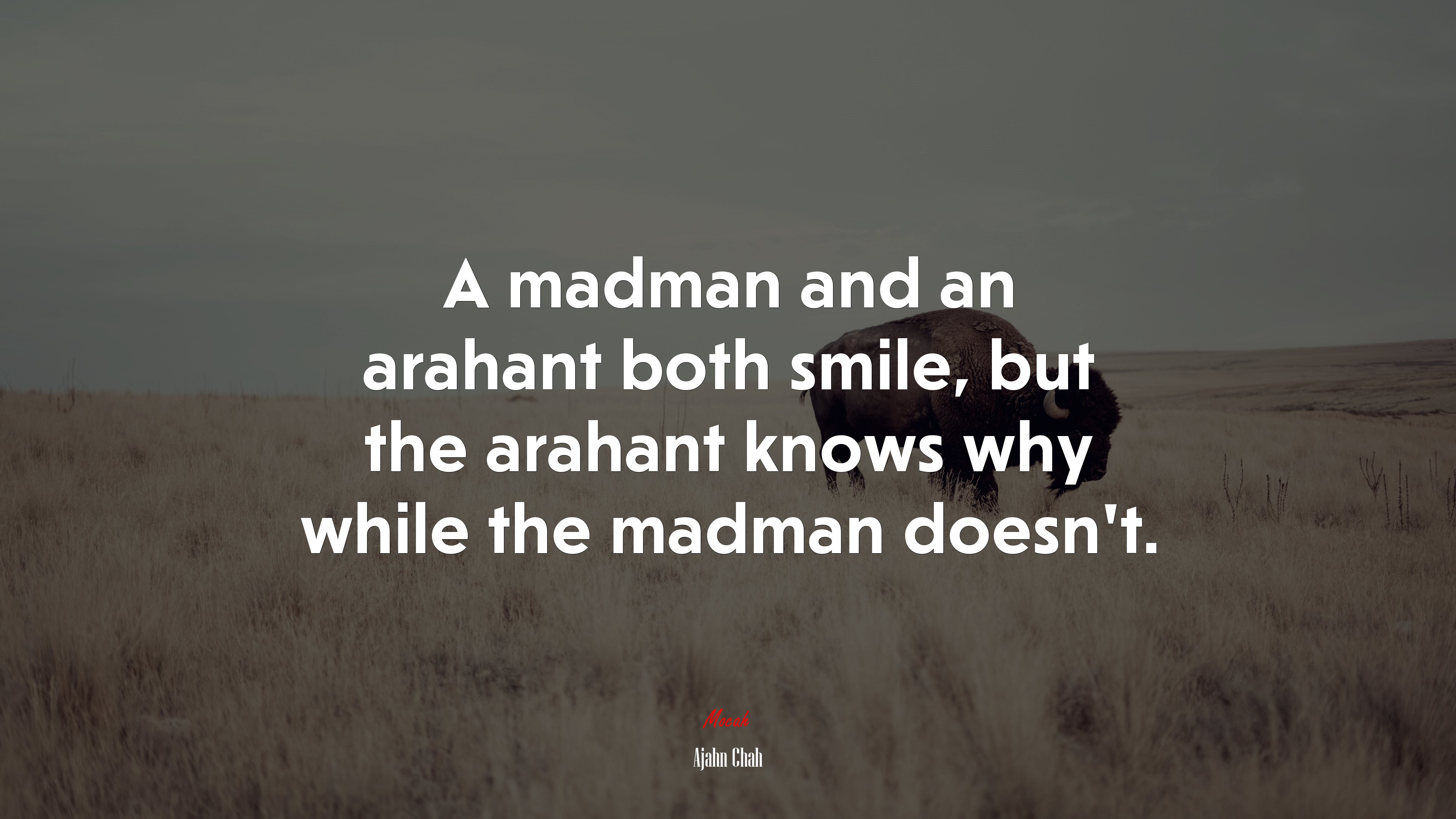 A madman and an arahant both smile, but the arahant knows why while the madman doesn’t. | Ajahn Chah quote HD Wallpaper