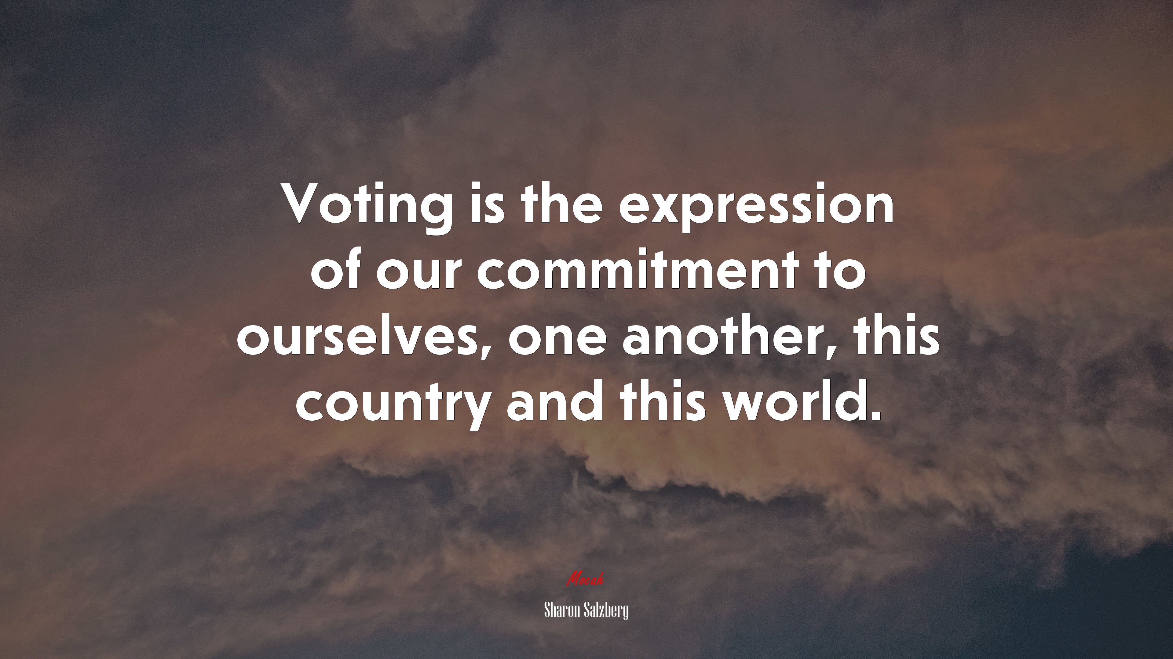 Voting is the expression of our commitment to ourselves, one another, this country and this world. | Sharon Salzberg quote HD Wallpaper
