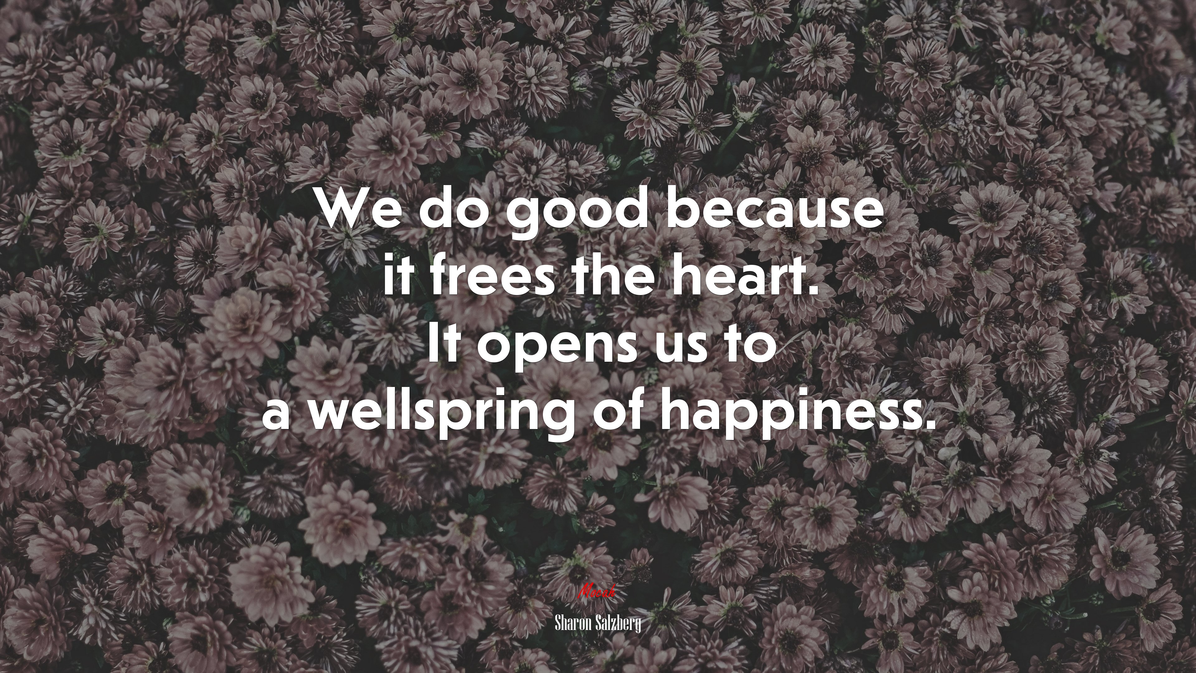 We do good because it frees the heart. It opens us to a wellspring of happiness. | Sharon Salzberg quote HD Wallpaper