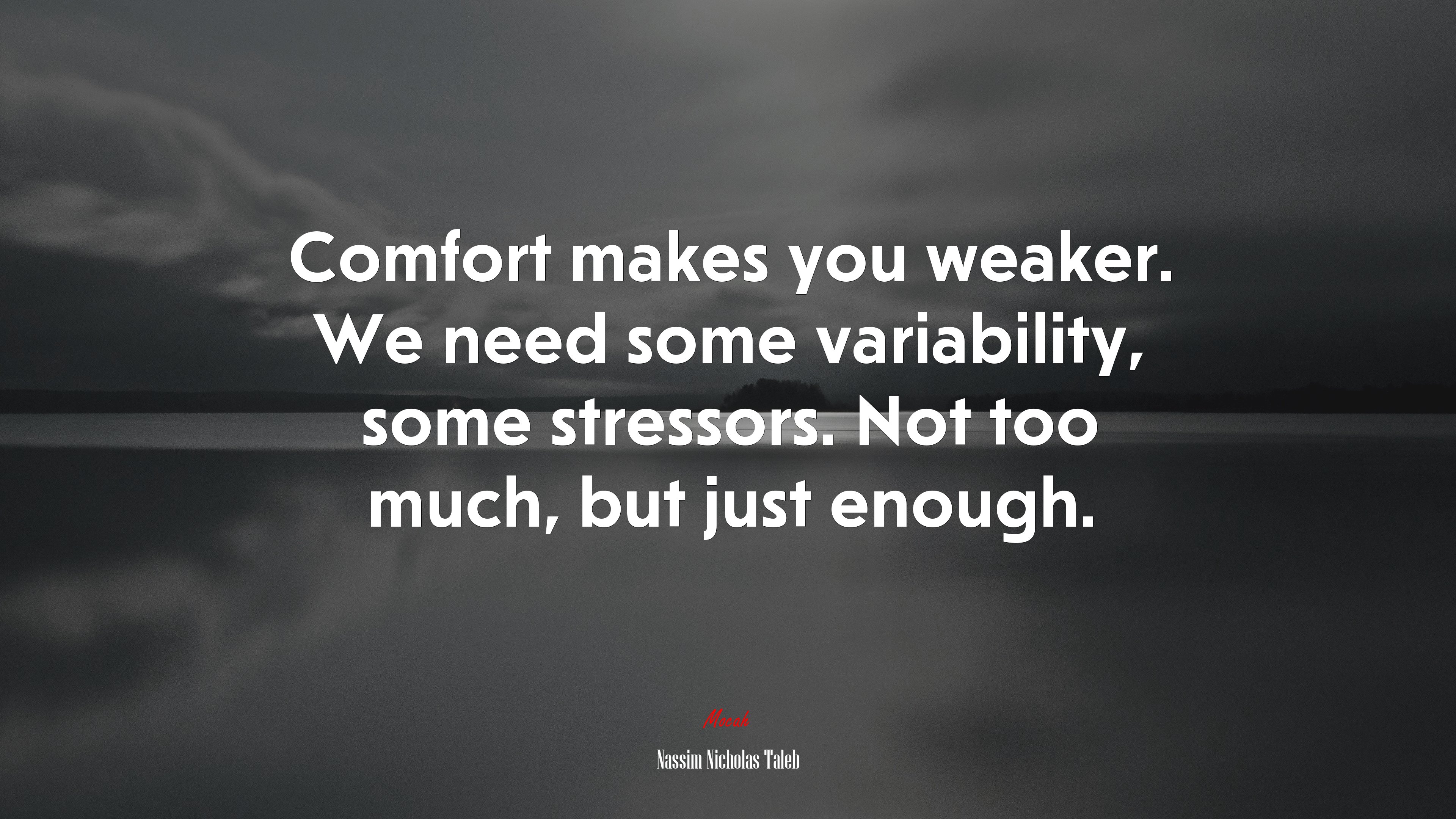 Comfort makes you weaker. We need some variability, some stressors. Not too much, but just enough. | Nassim Nicholas Taleb quote HD Wallpaper