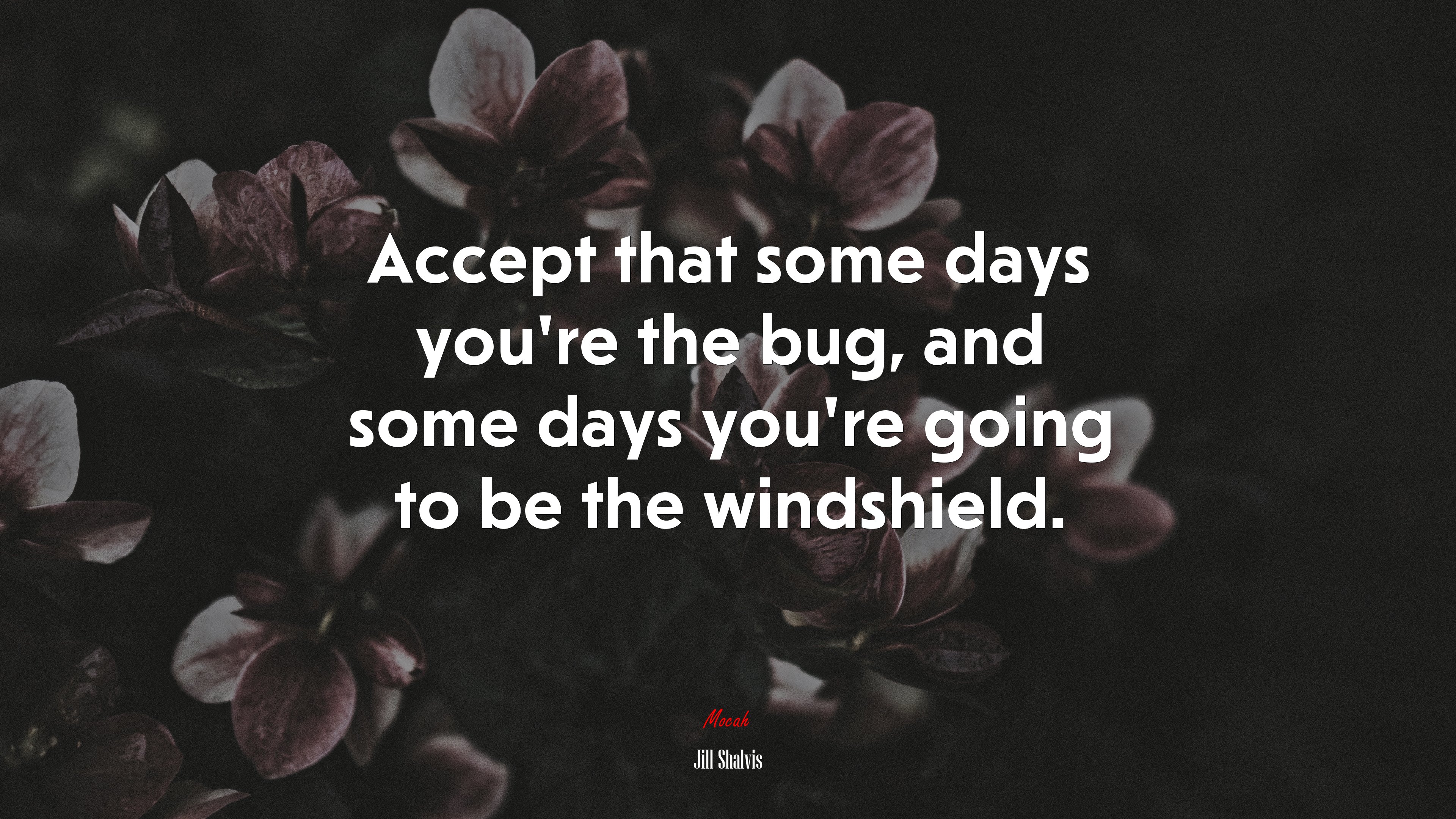 Accept that some days you’re the bug, and some days you’re going to be the windshield. | Jill Shalvis quote HD Wallpaper