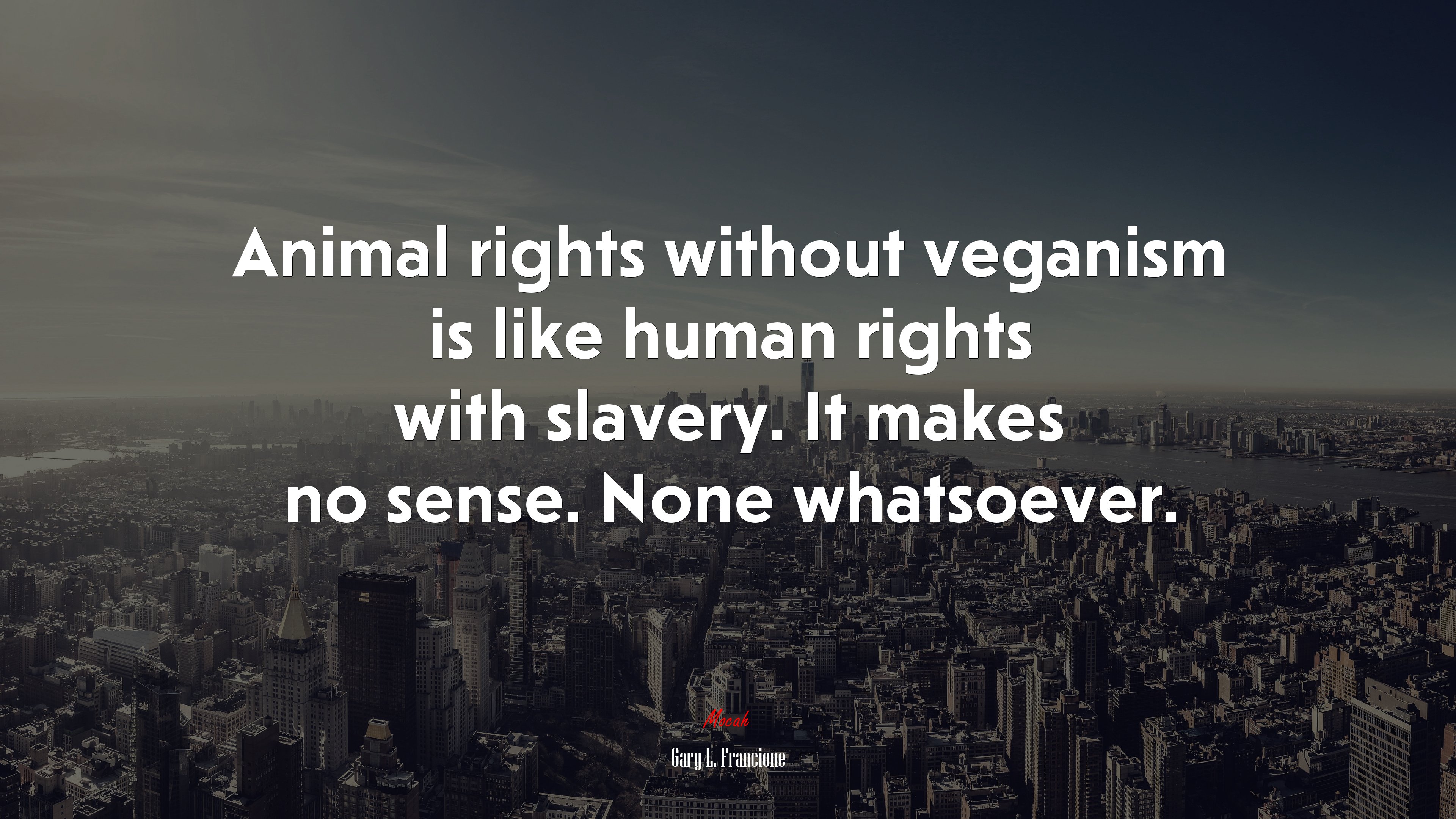 Animal rights without veganism is like human rights with slavery. It makes no sense. None whatsoever. | Gary L. Francione quote HD Wallpaper