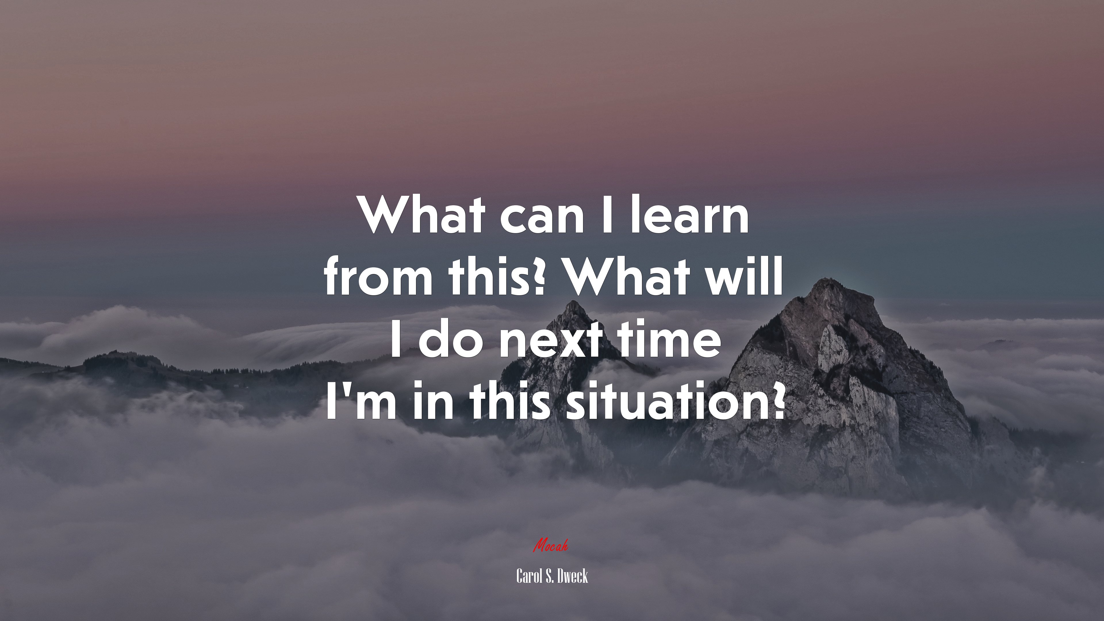 What can I learn from this? What will I do next time I’m in this situation? | Carol S. Dweck quote HD Wallpaper