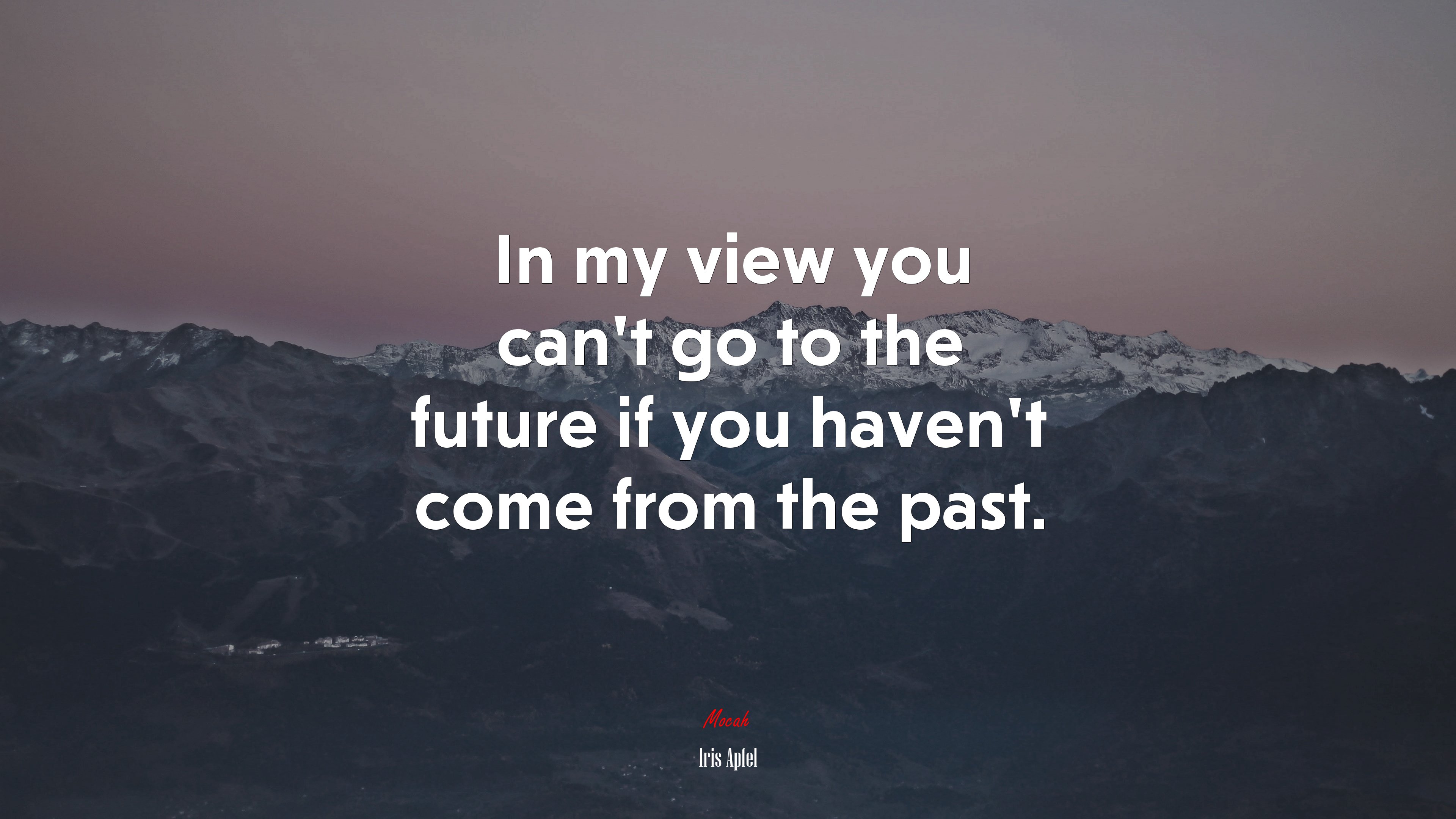 In my view you can’t go to the future if you haven’t come from the past. | Iris Apfel quote HD Wallpaper