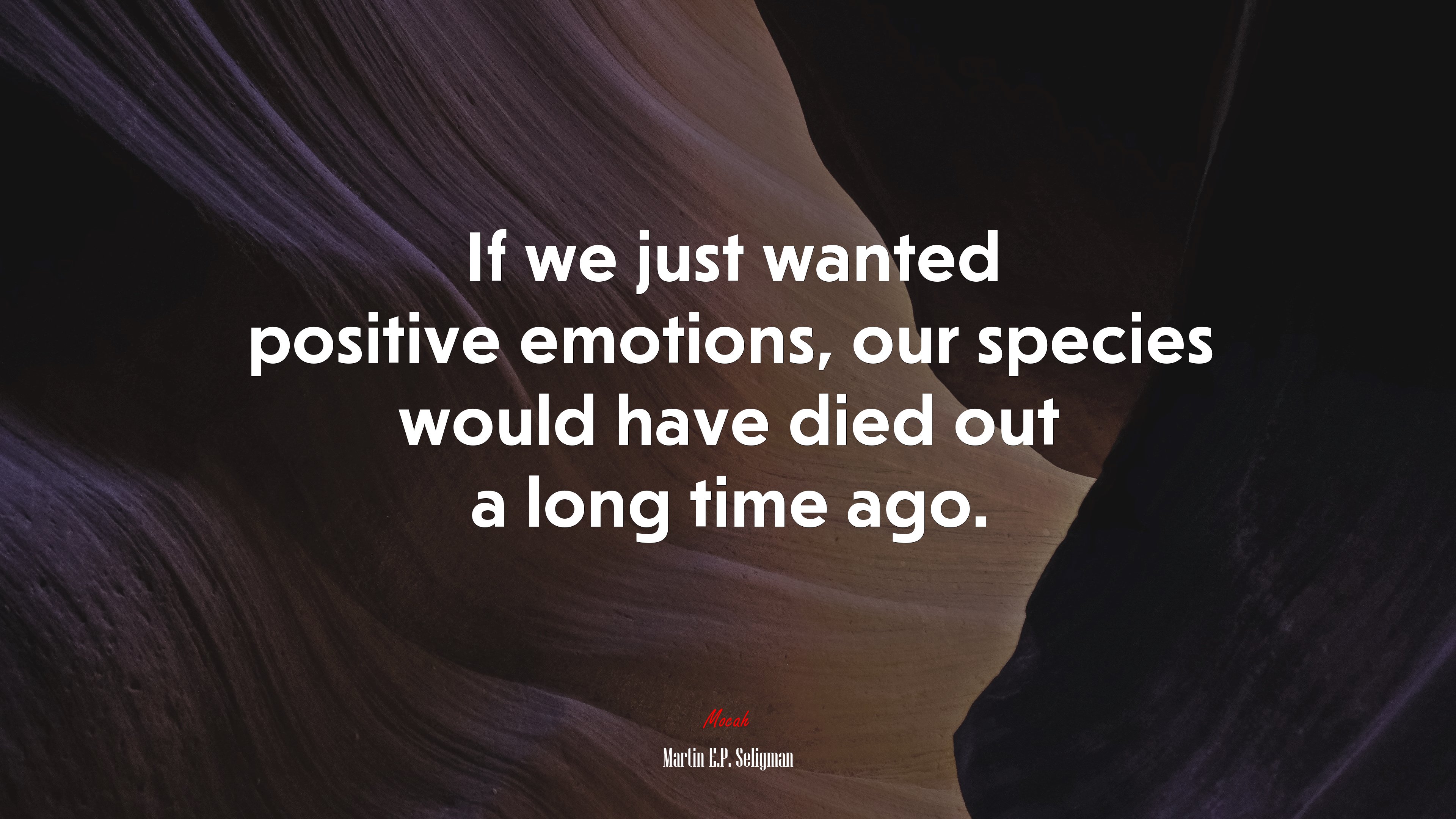 If we just wanted positive emotions, our species would have died out a long time ago. | Martin E.P. Seligman quote HD Wallpaper