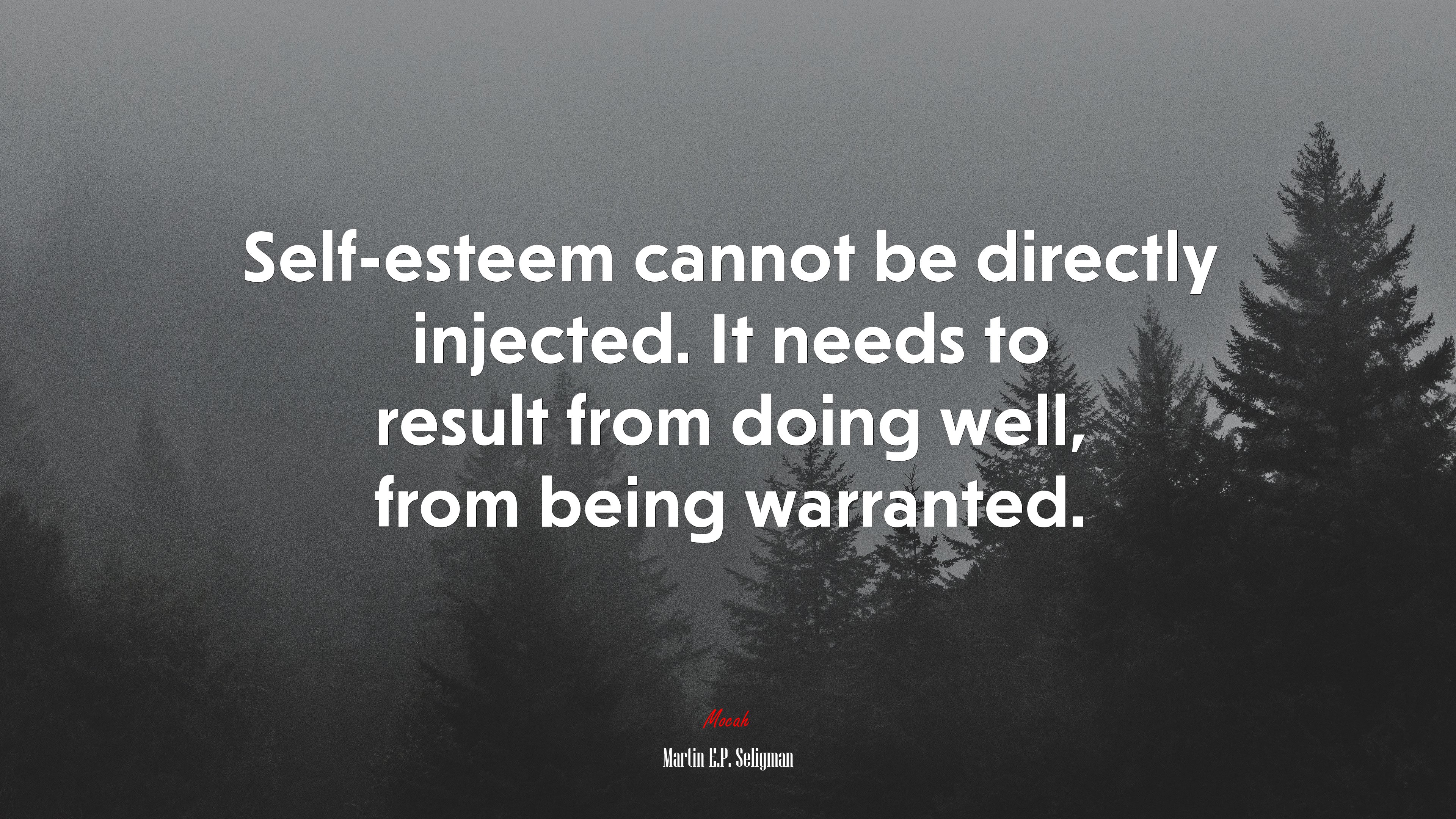 Self-esteem cannot be directly injected. It needs to result from doing well, from being warranted. | Martin E.P. Seligman quote HD Wallpaper