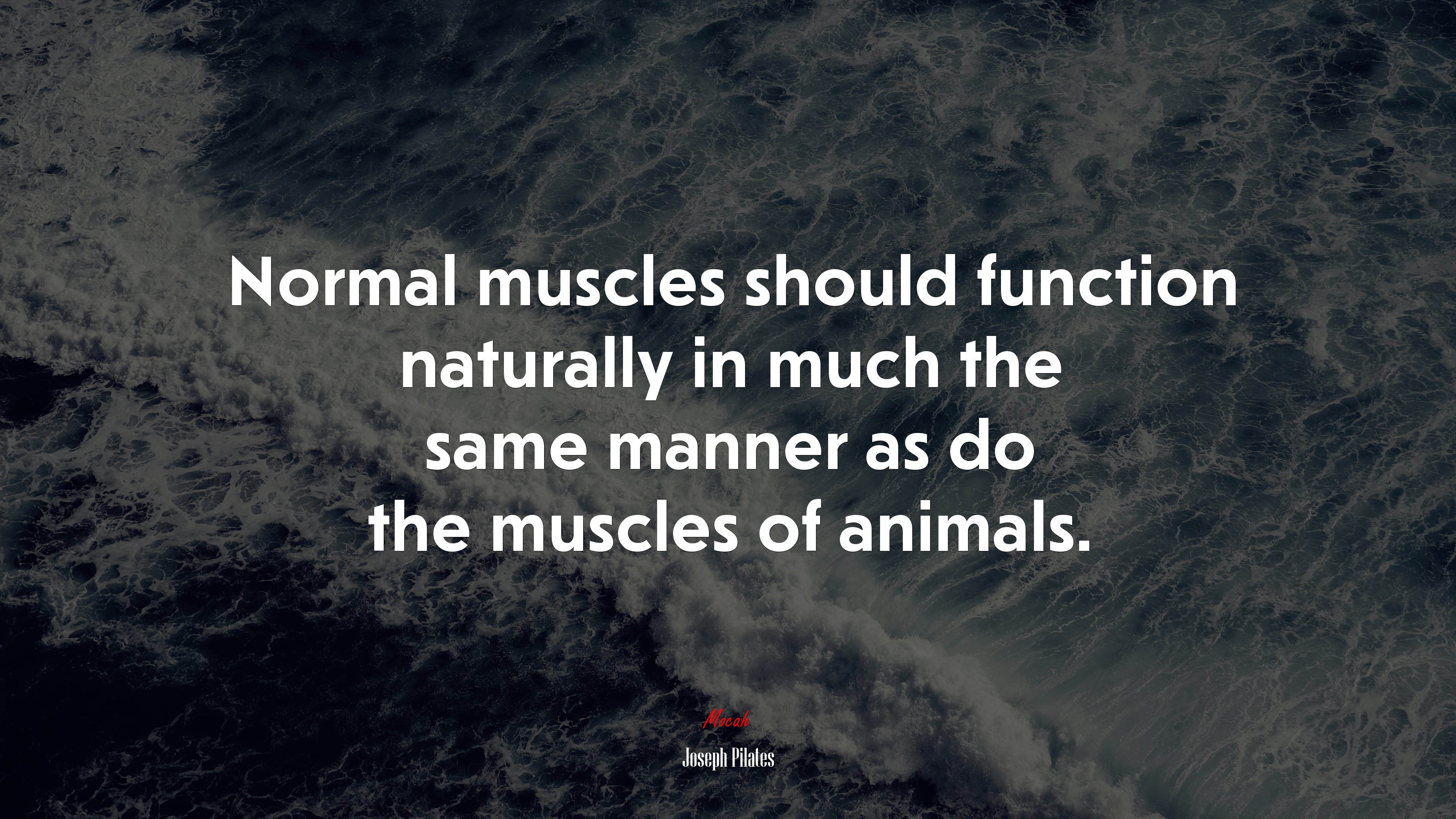 Normal muscles should function naturally in much the same manner as do the muscles of animals. | Joseph Pilates quote HD Wallpaper