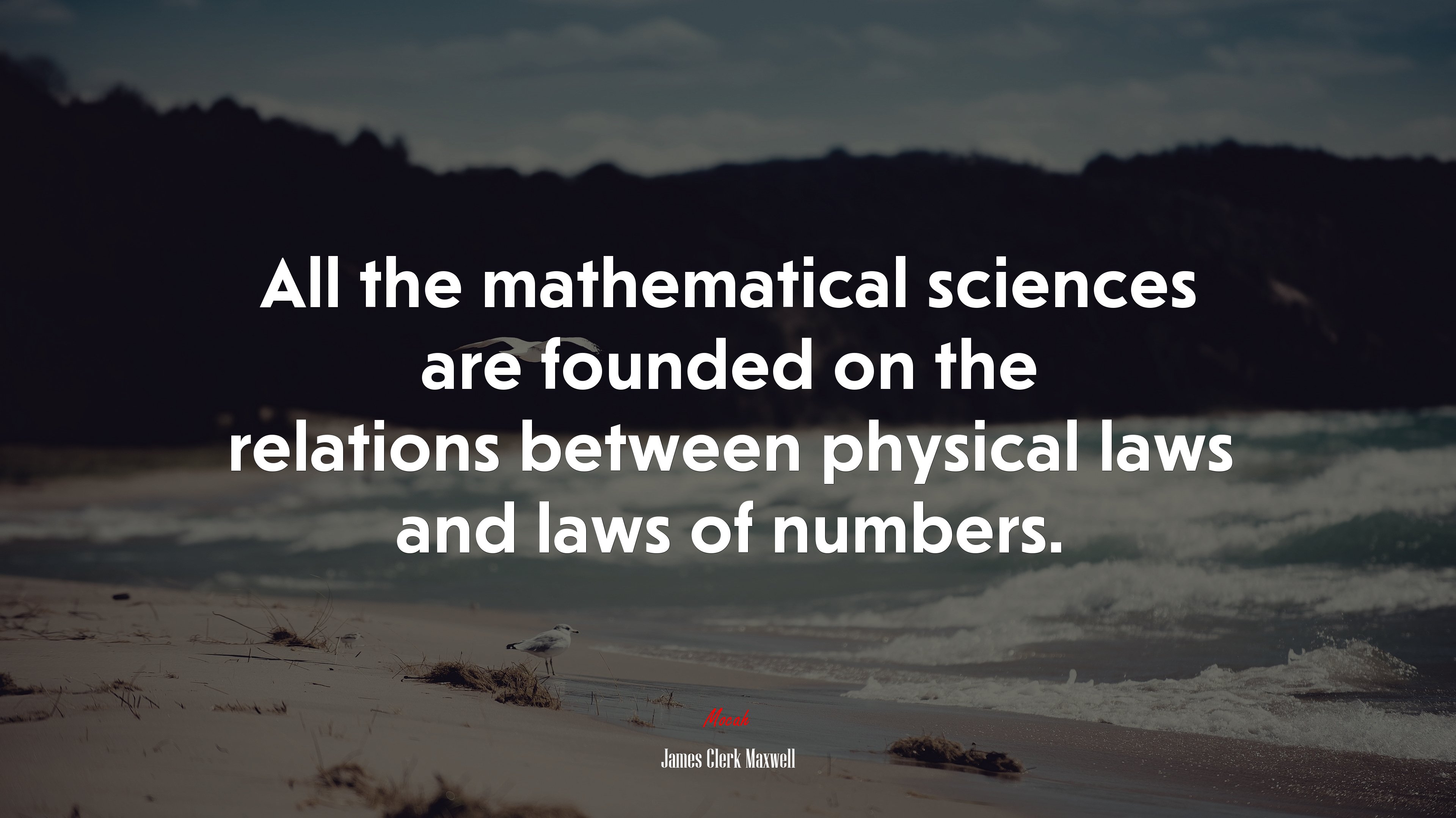 All the mathematical sciences are founded on the relations between physical laws and laws of numbers. | James Clerk Maxwell quote HD Wallpaper
