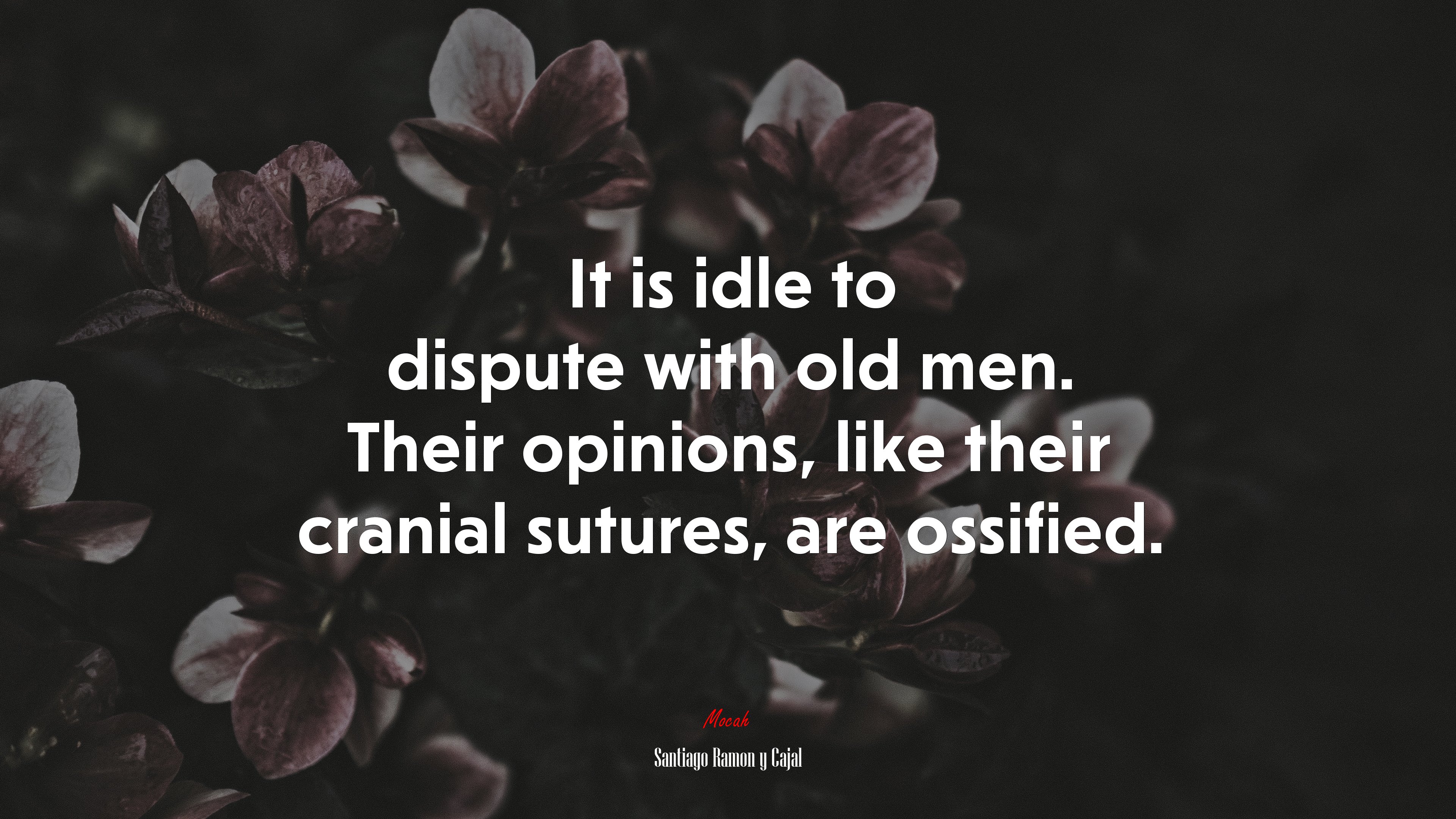 It is idle to dispute with old men. Their opinions, like their cranial sutures, are ossified. | Santiago Ramón y Cajal quote HD Wallpaper