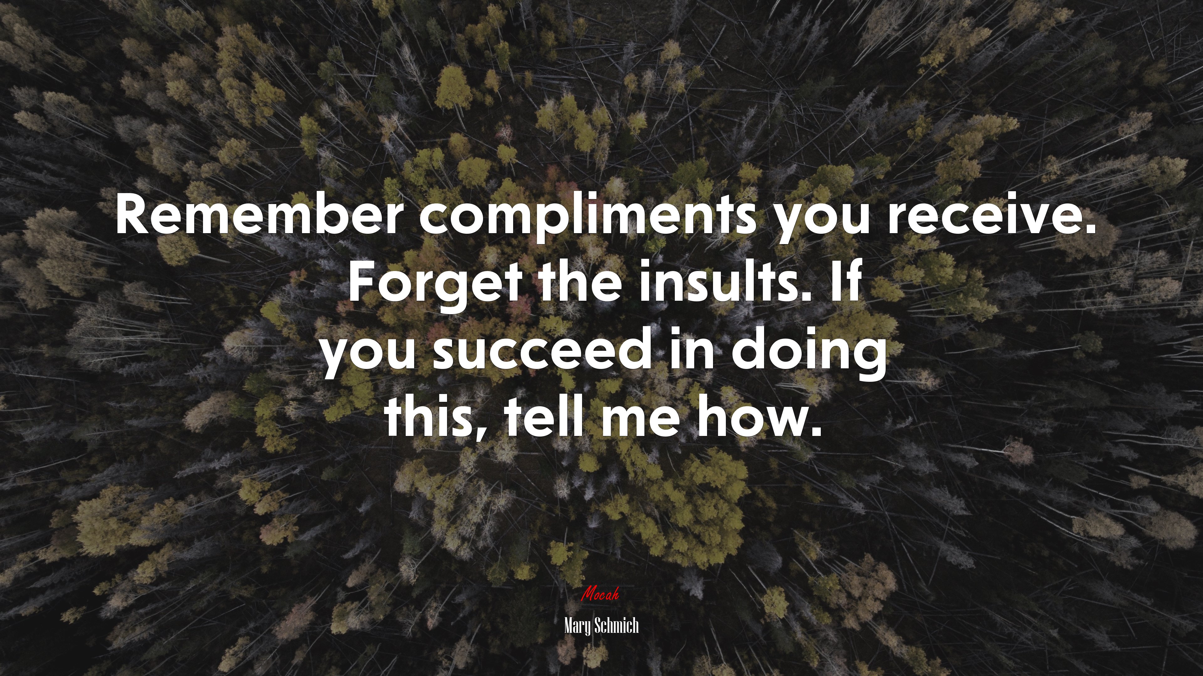 Remember compliments you receive. Forget the insults. If you succeed in doing this, tell me how. | Mary Schmich quote HD Wallpaper