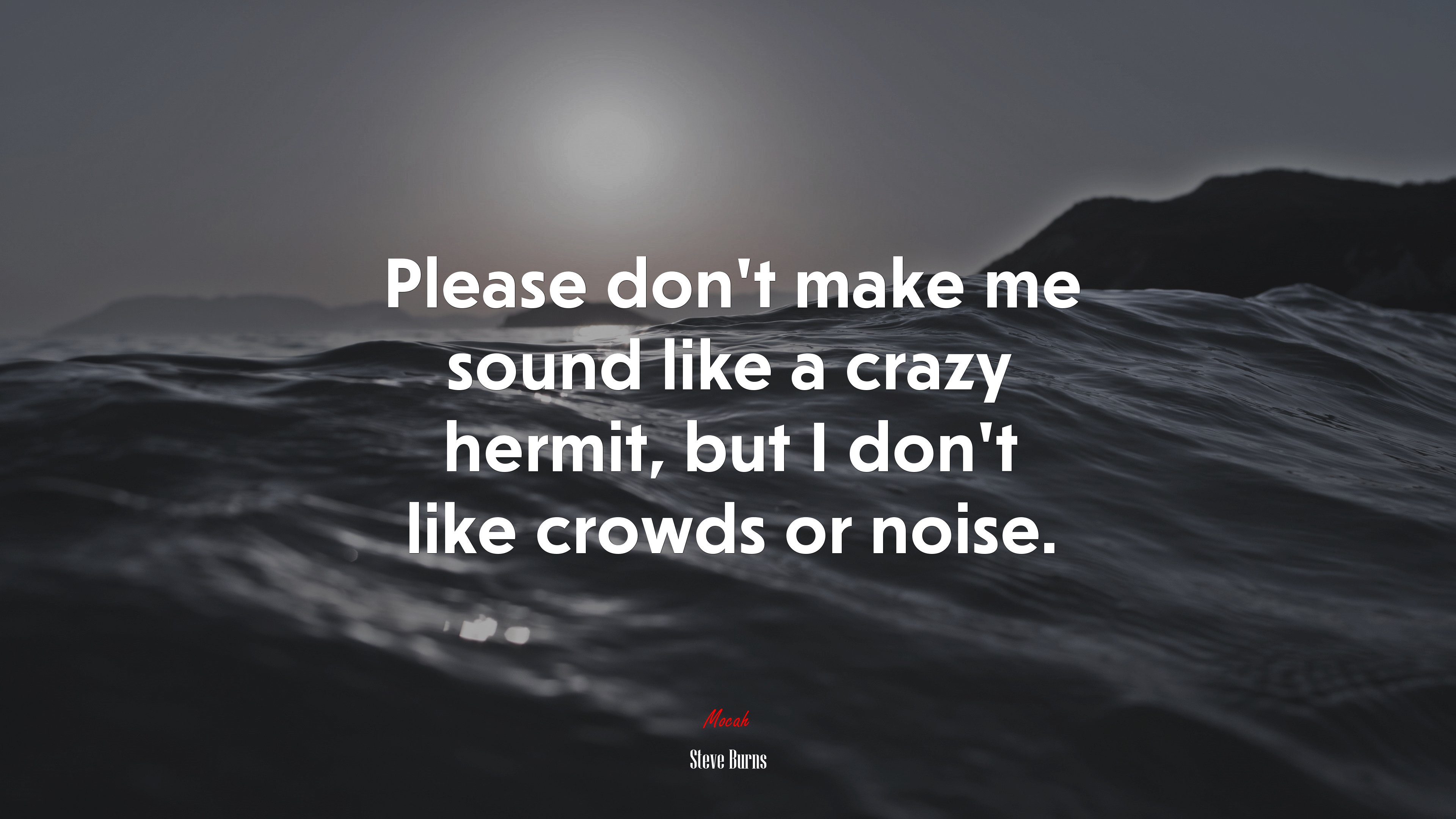 Please don’t make me sound like a crazy hermit, but I don’t like crowds or noise. | Steve Burns quote HD Wallpaper