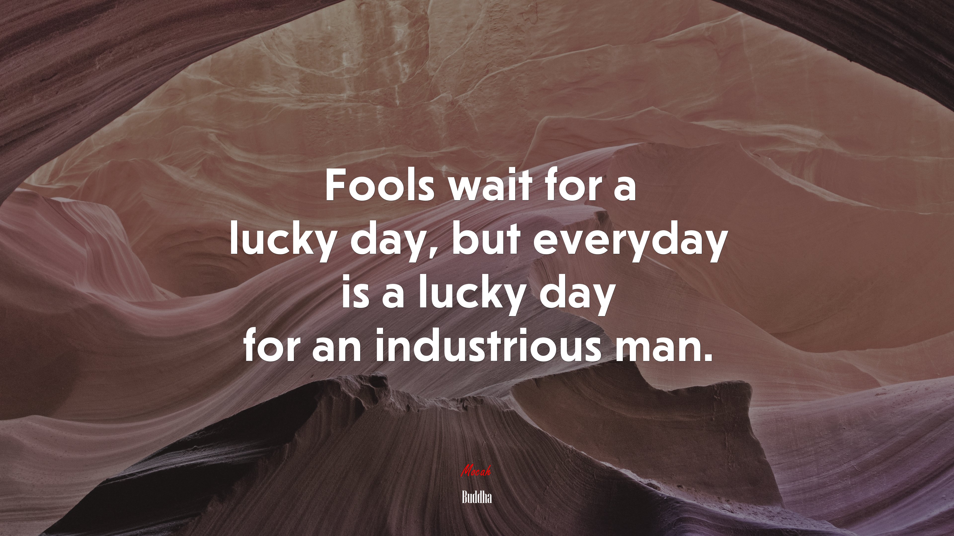 Fools wait for a lucky day, but everyday is a lucky day for an industrious man. | Buddha quote HD Wallpaper