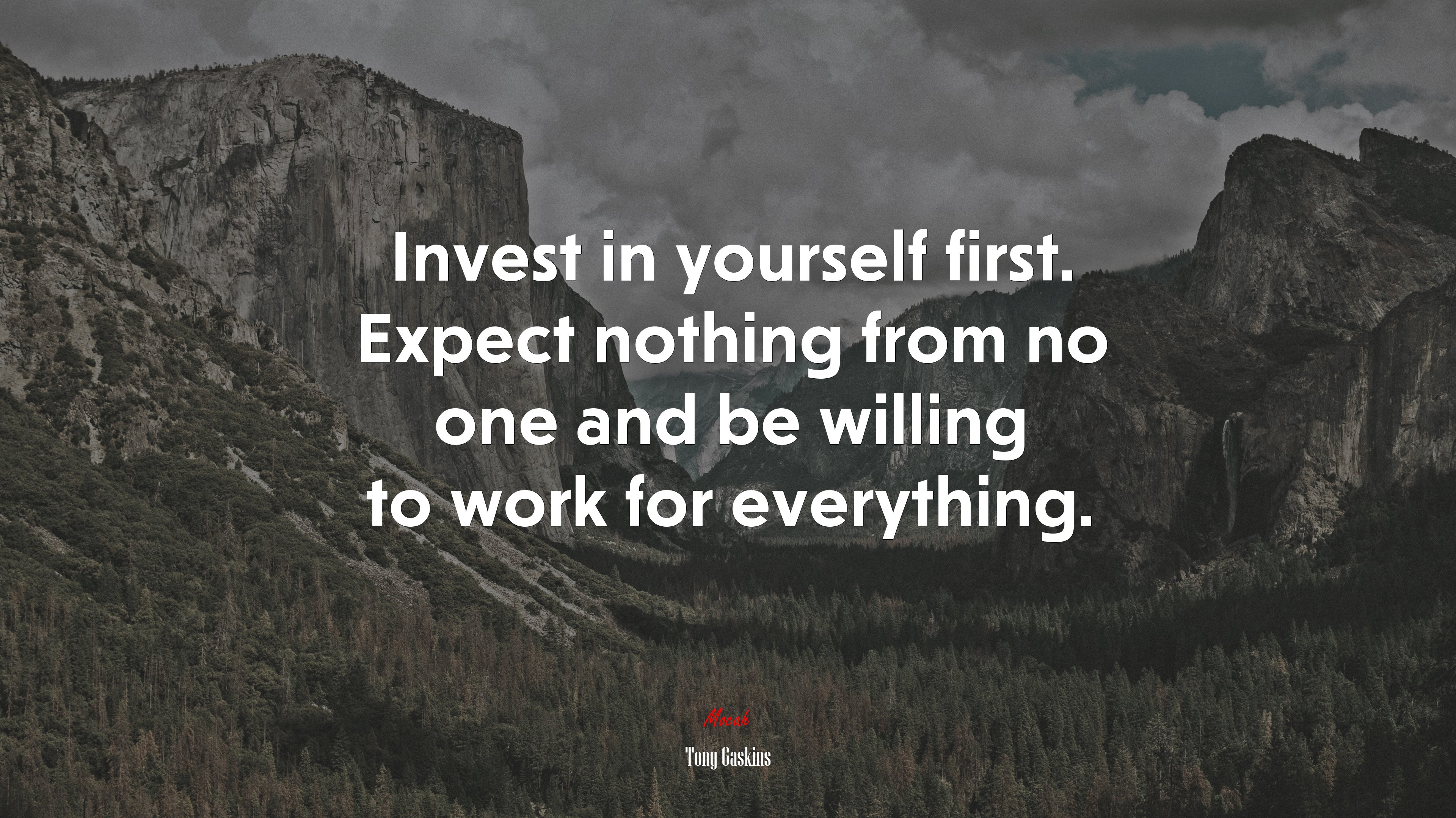 Invest in yourself first. Expect nothing from no one and be willing to work for everything. | Tony Gaskins quote HD Wallpaper